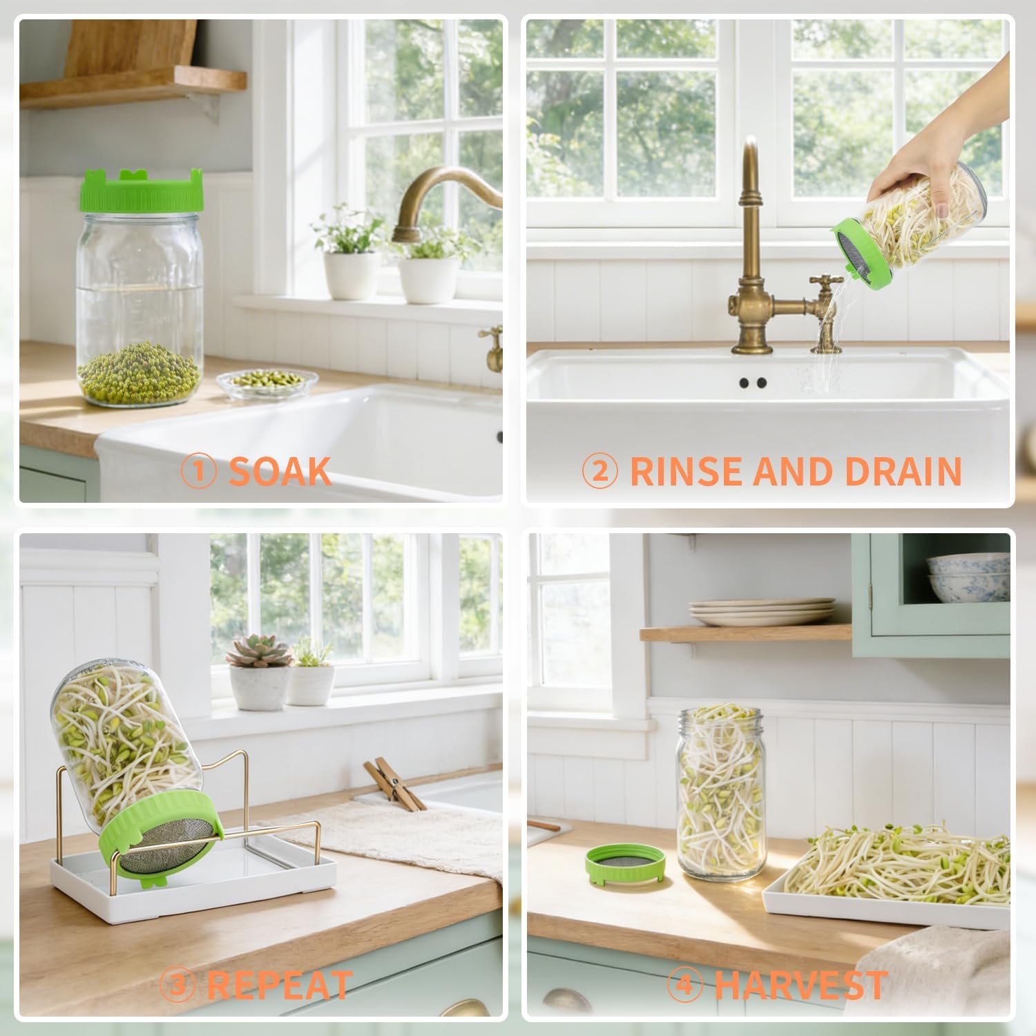 Seed Sprouting Jar Kit with Mung Beans 2.9oz, 2 Wide Mouth Mason Jars with Sprouting Lids, Drain Tray Blackout Sleeves