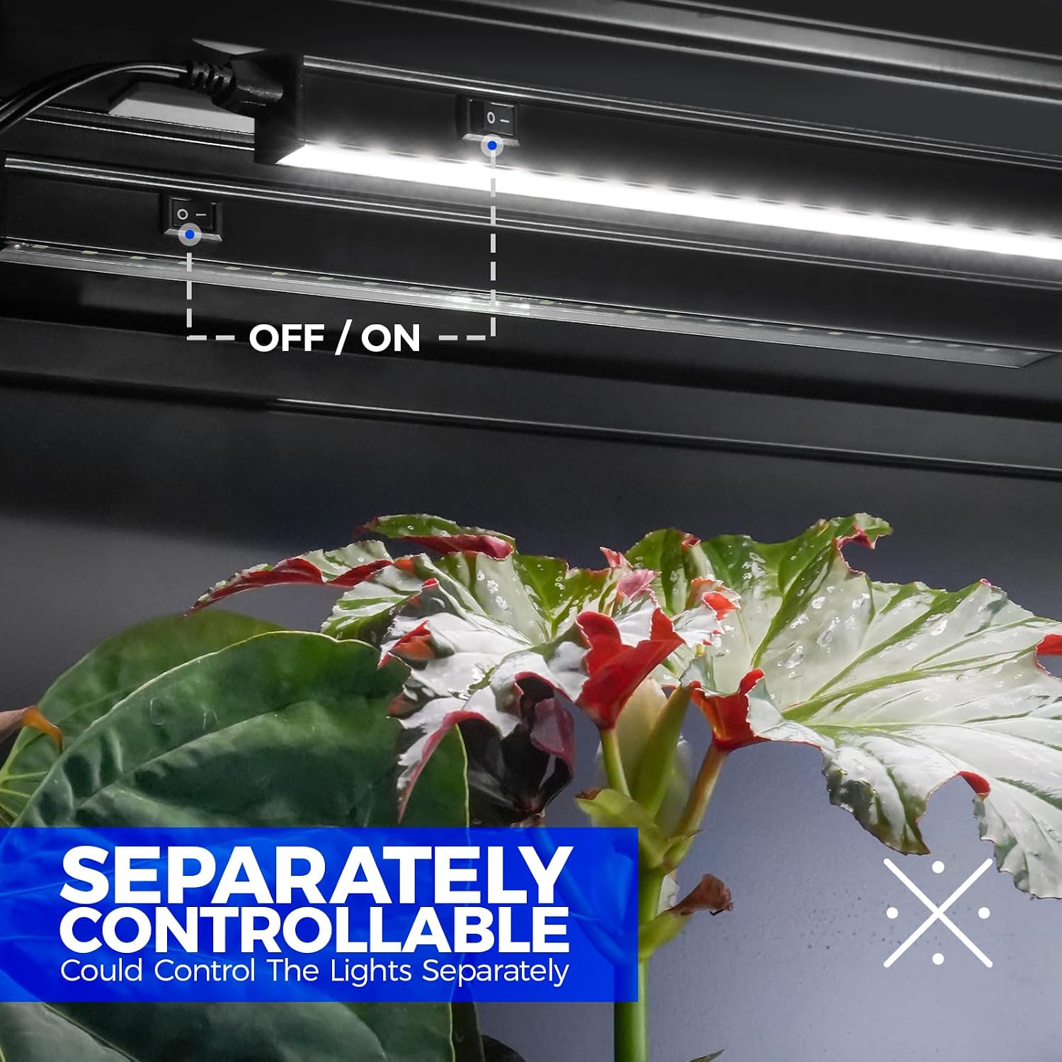Barrina T5 Grow Lights, 2FT 20W (2 X 10W), 5000K Full Spectrum, 2 Packs | Plant Growing Lamps with Magnetic Bar