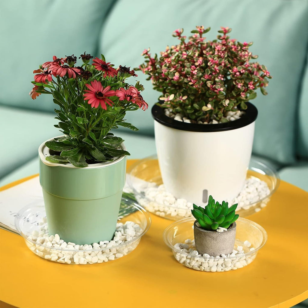 30 Packs Clear Plant Saucers for Indoor Outdoor Use 4/6/8/10/12/14 Inches Heavy Duty Plastic Plant Trays for Planter