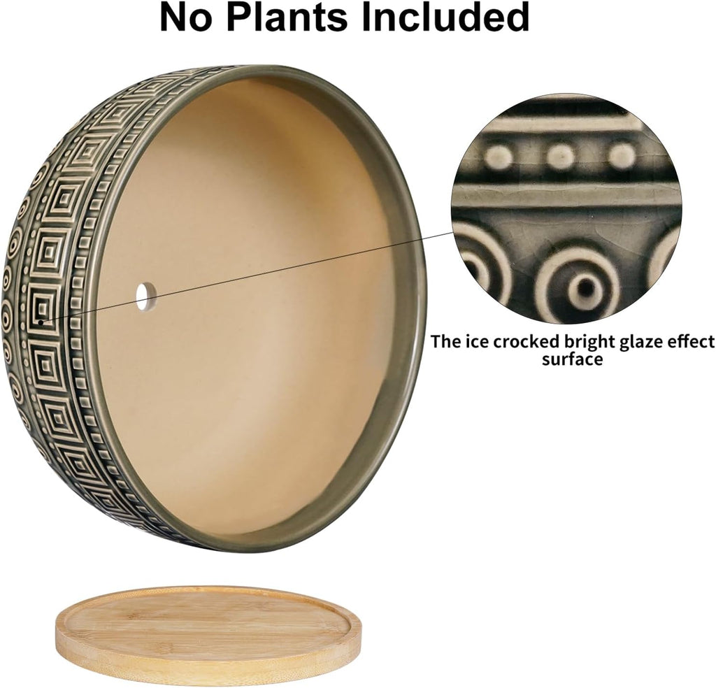 G EPGardening 8 Inch Ceramic Succulent Planter Pots Round Shallow Bonsai Planter Pot for Indoor Plants with Drainage