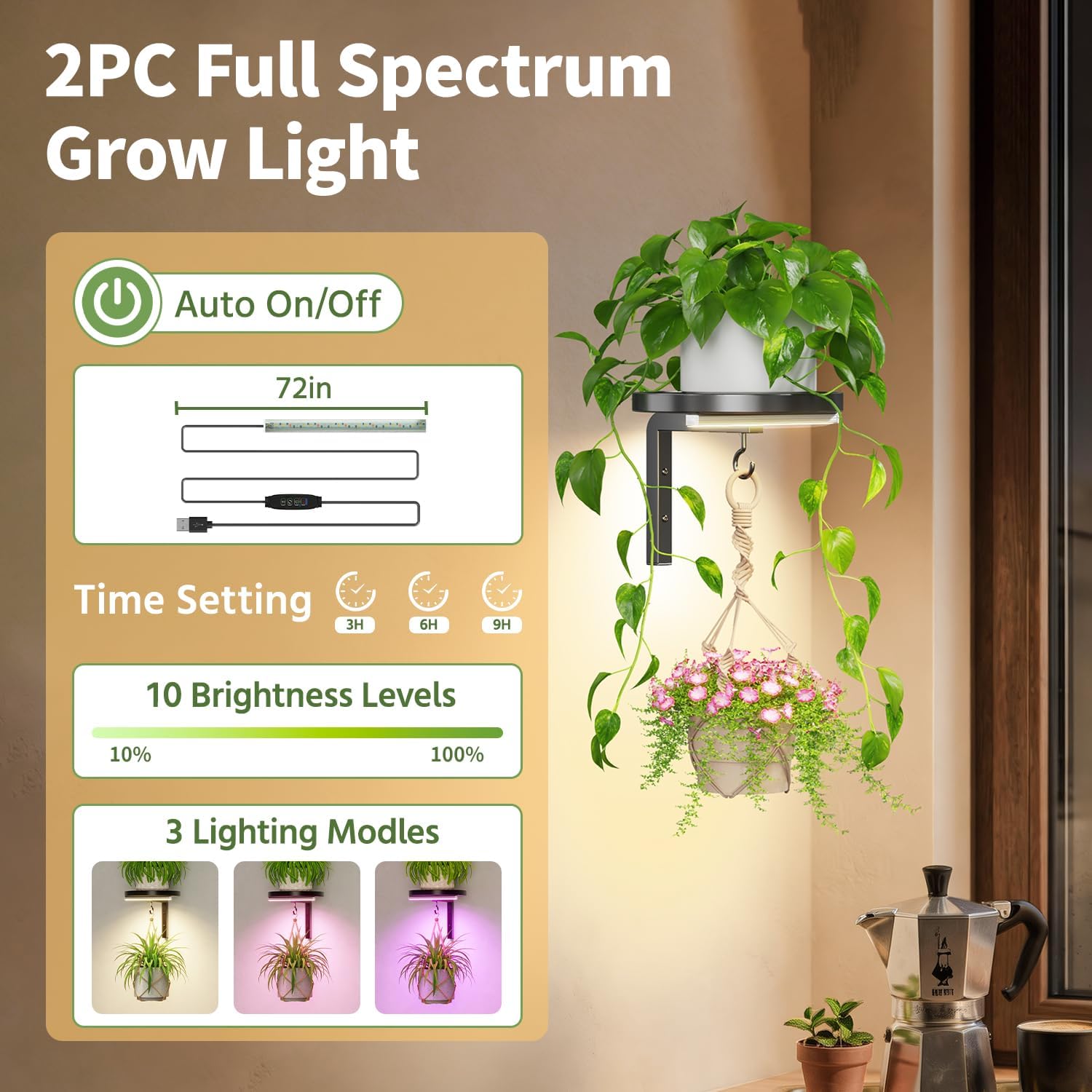 LASZOLA Plant Hanger Holder Shelf Wall Indoor with Lights, 2 Pcs Black | Modern Window Metal Floating Stand, Hanging