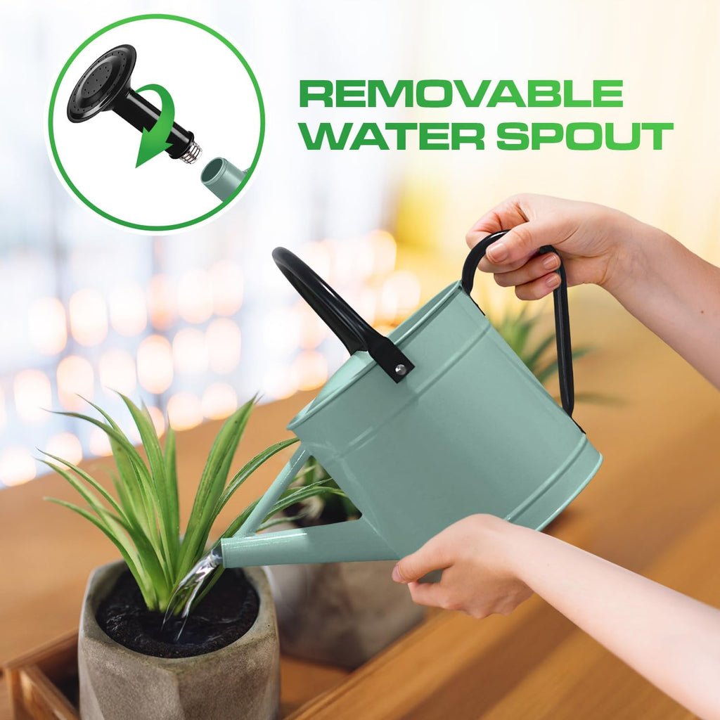Plexon Metal Watering Can Outdoor 1 Gallon, Flower Plant Gardening Garden Large Watering Can Pot, Black Galvanized