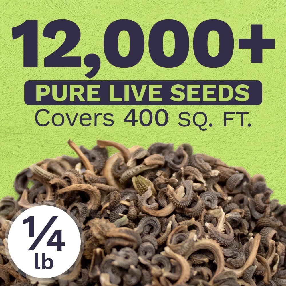 Calendula ‘Pacific Beauty Mix’ – Bulk Quarter Pound Bag – Over 12,000 Open Pollinated Non-GMO Wildflower Seeds –