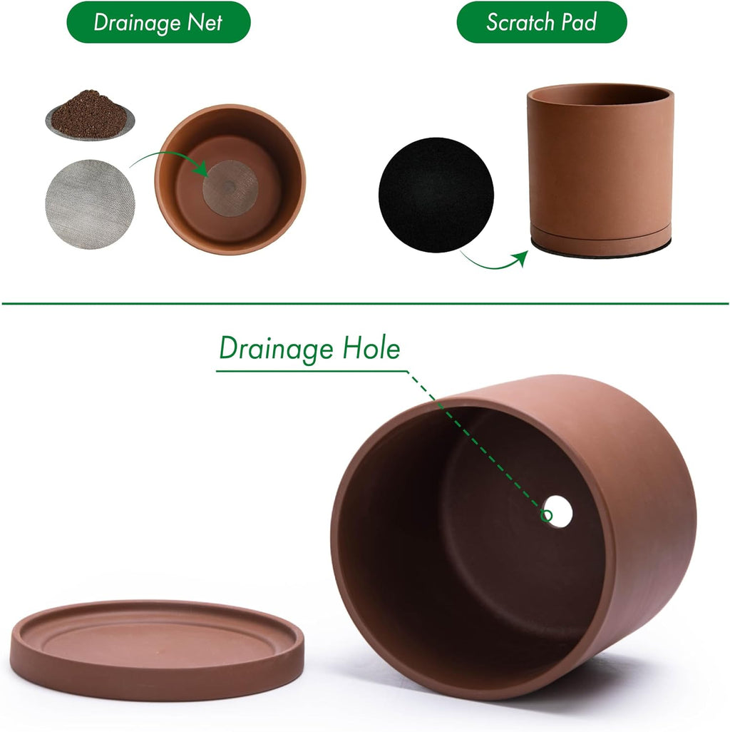 D'vine Dev Rust Terracotta Plant Pot with Saucer, 6 in, 40-V-C-3 | Classic Cylinder Shape, Natural Clay Texture, Porous