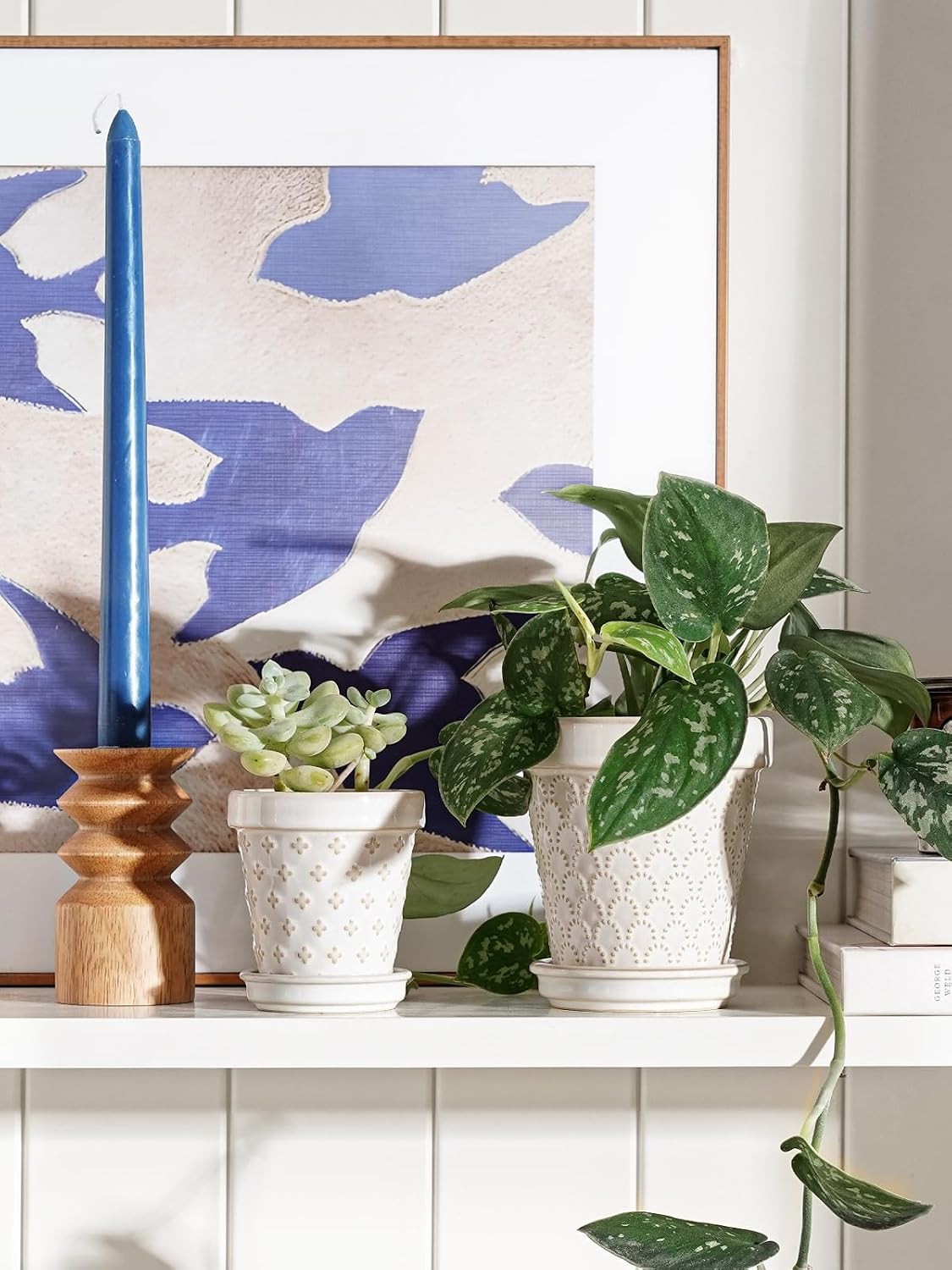 LE TAUCI Ceramic Succulent Pots, 4 Inch Small Plant Pot for Indoor Plant Cactus, Embossed Flower Pots with Drainage