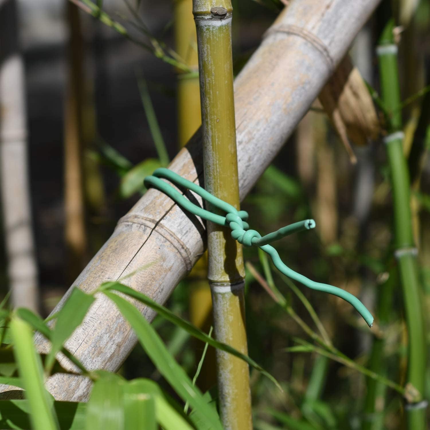 PGarden-EZ Heavy Duty Garden Plant Ties, 250 Feet Soft Twist Ties for Vines Tomatoes, Thick Green Zip Ties for Climbing