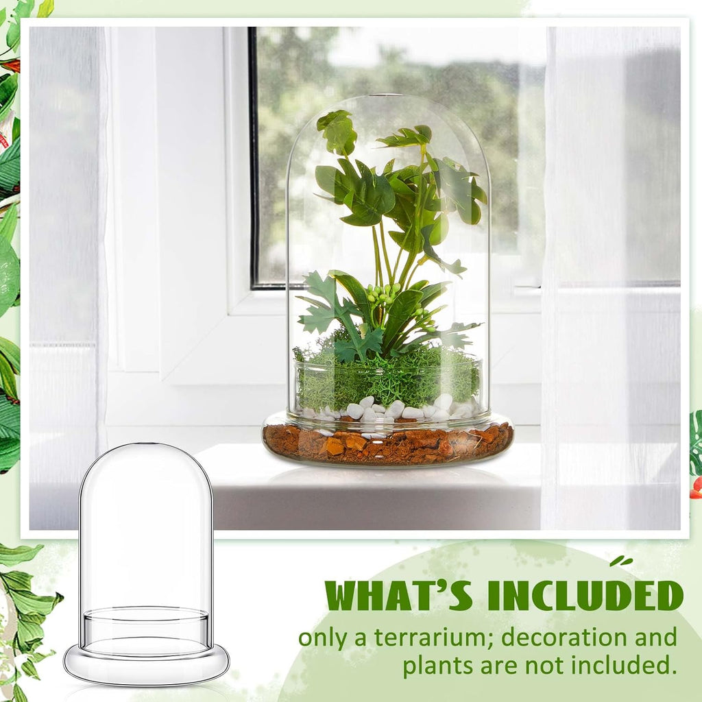 1 PC 5.9 x 7.9 Inch Glass Terrarium Dome Cloche with Air Hole & Glass Base, Clear Terrarium Containers Ventilated Plant