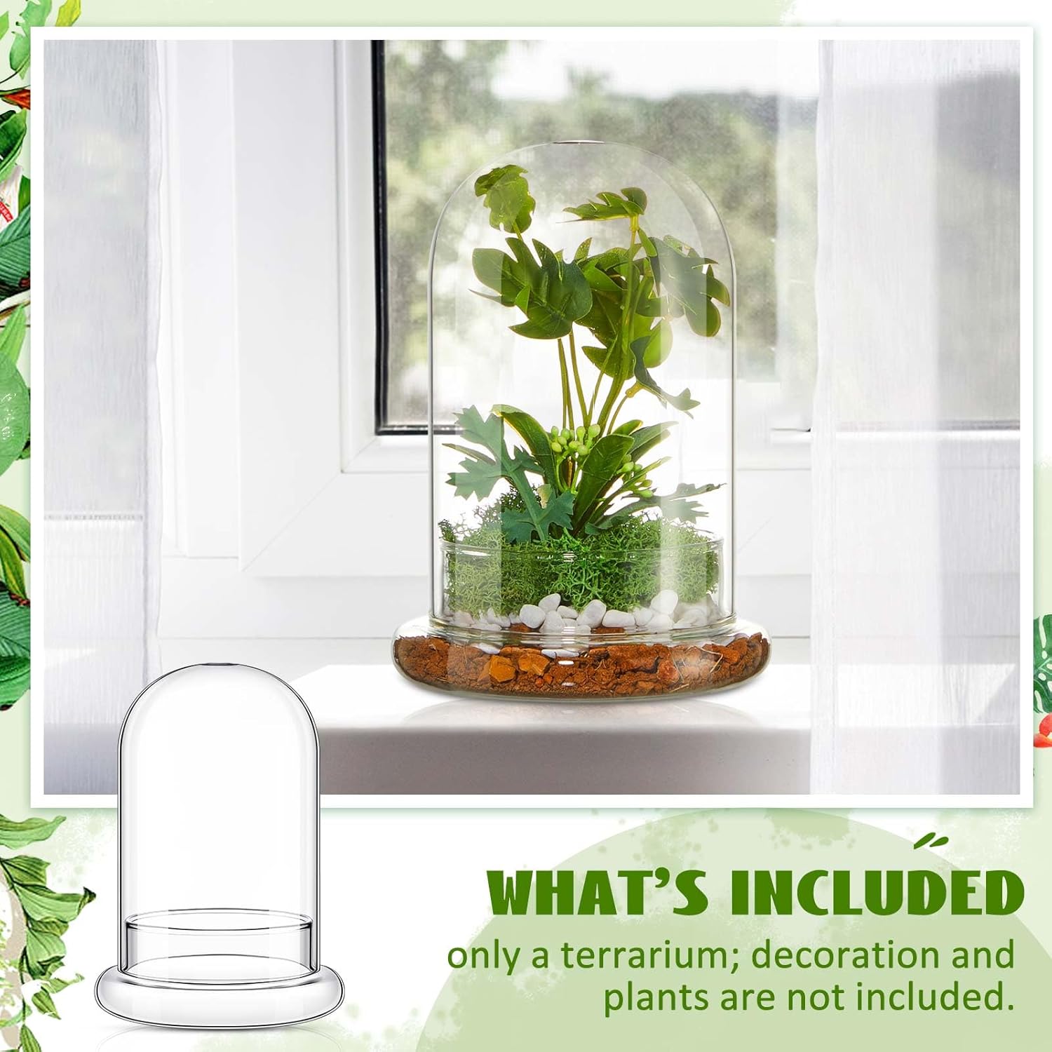 1 PC 5.9 x 7.9 Inch Glass Terrarium Dome Cloche with Air Hole & Glass Base, Clear Terrarium Containers Ventilated Plant