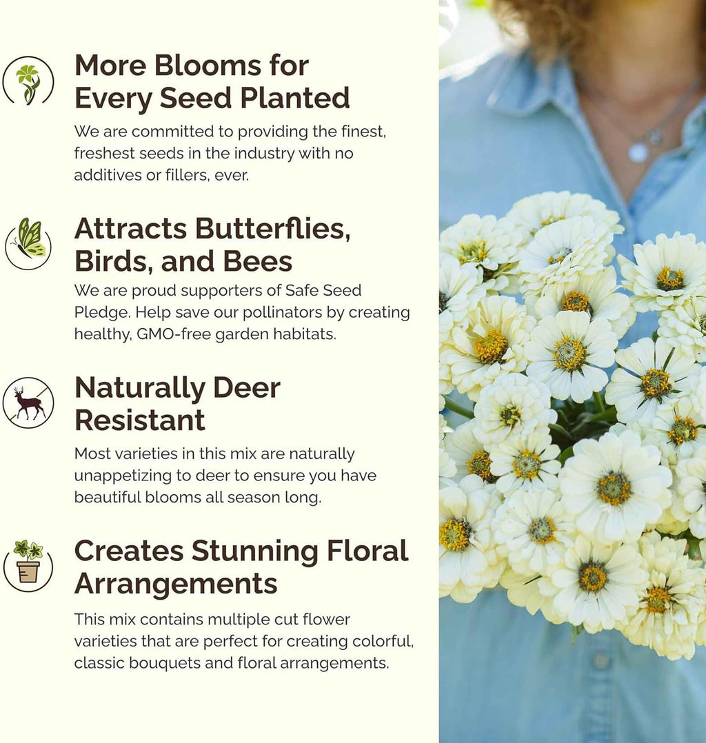 Eden Brothers Cloud 9 Flower Mixed Seeds for Planting, 1/4 lb, 120,000+ Seeds with White Candytuft, Cosmos Purity