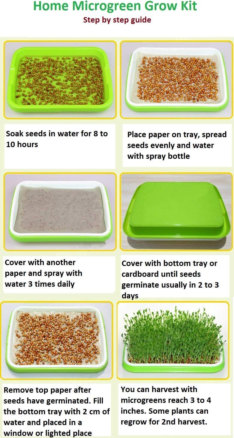 2 Pack of BPA Free Home Microgreen Soilless Hydroponics Seed Sprouter Grow Tray with Cover + Free Spray Bottle and 20
