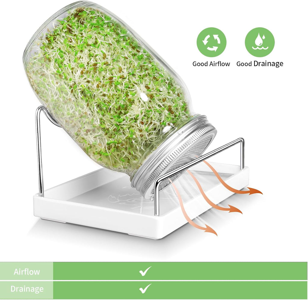 Seed Sprouting Jar Kit - 2 Wide Mouth Mason Jars with 316 Stainless Steel Sprouting Lids Covers, Drip Tray and Stand