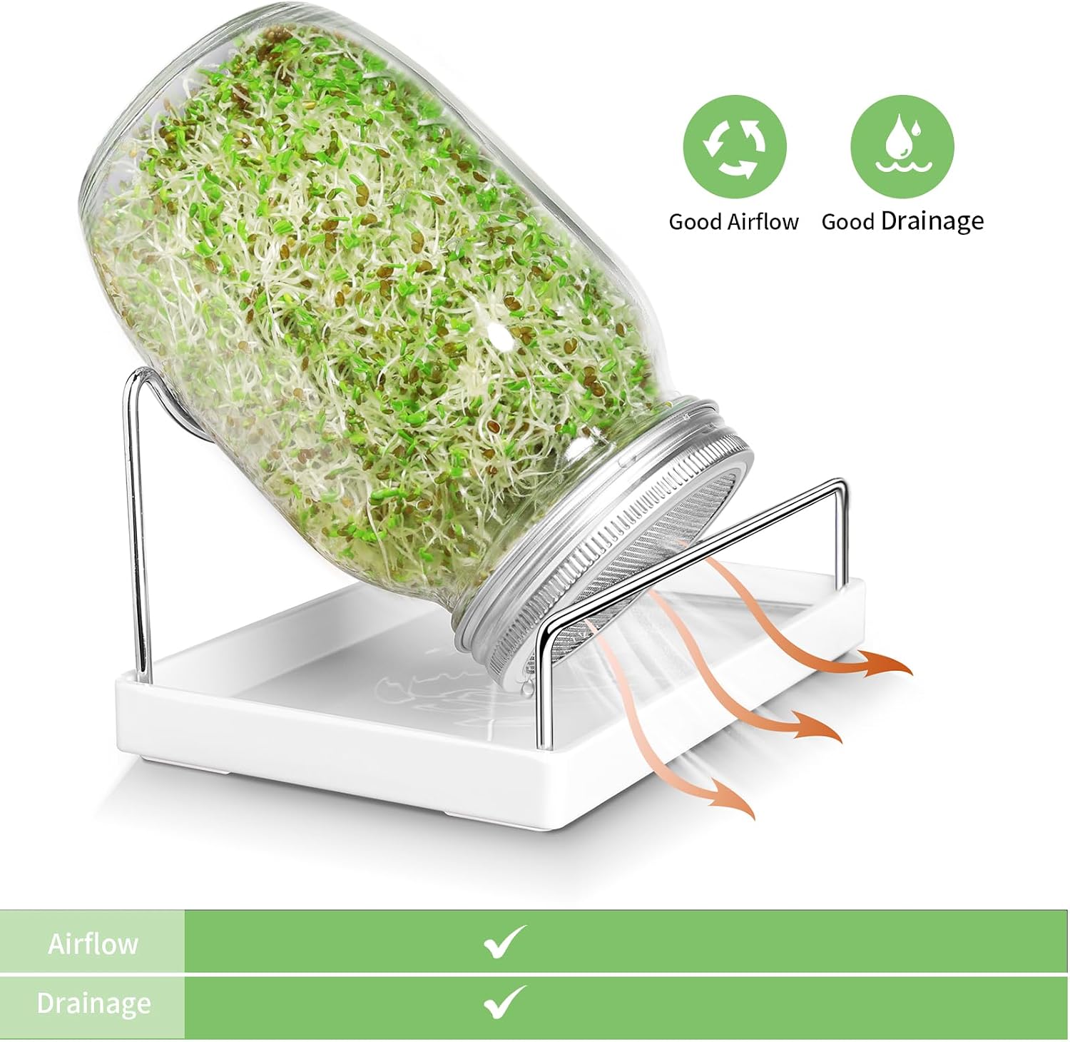 Seed Sprouting Jar Kit - 2 Wide Mouth Mason Jars with 316 Stainless Steel Sprouting Lids Covers, Drip Tray and Stand