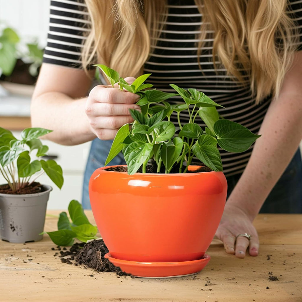 Ceramicfor Ceramic Plant Pot 6 Inch - Ceramic Planter for Indoor Plants Outdoor, Glaze Round Modern Flower Pot with