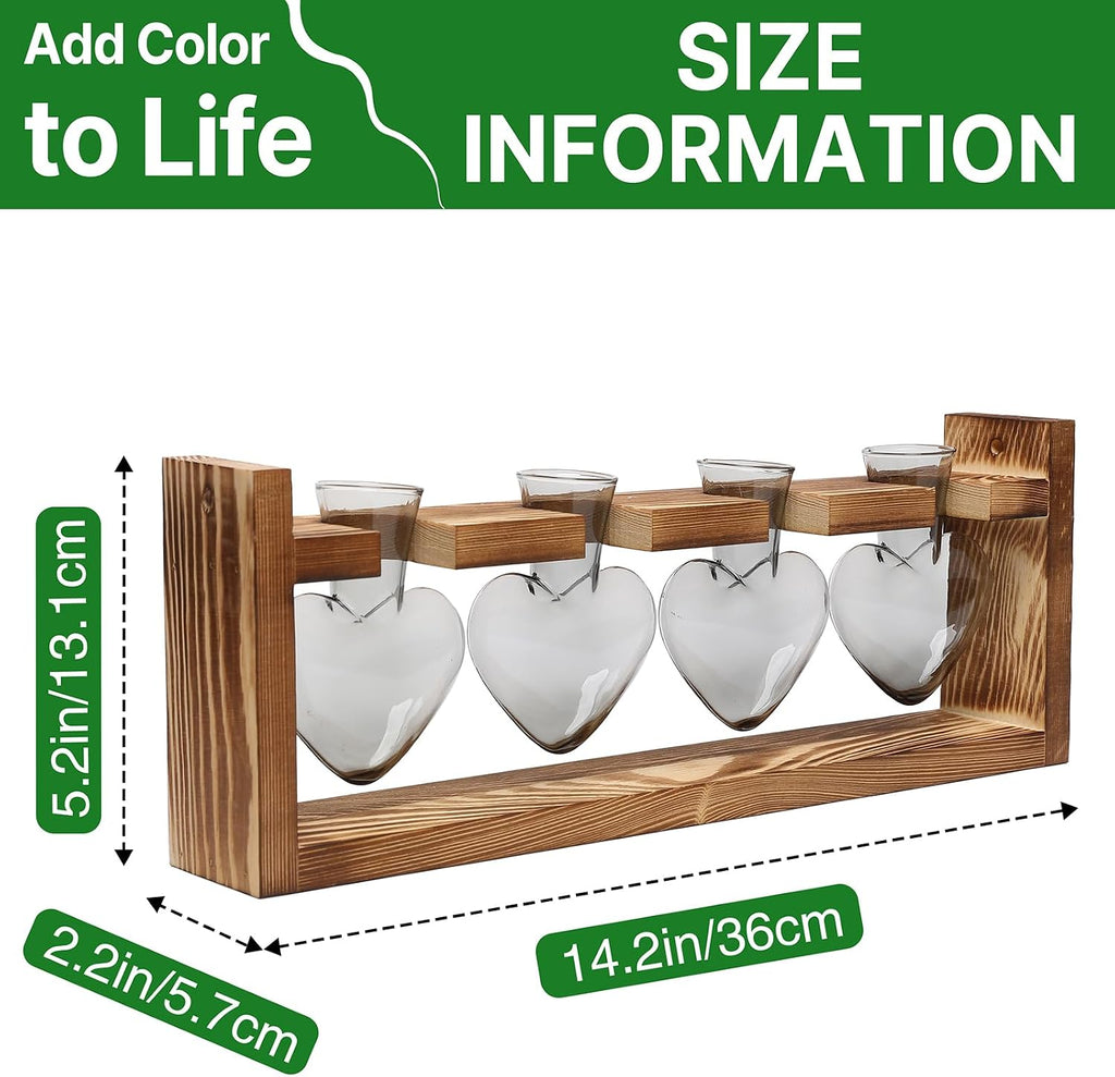 Plant Propagation Stations Heart Plant Terrarium Kit | Gift for Women Plant Lover Glass Vases