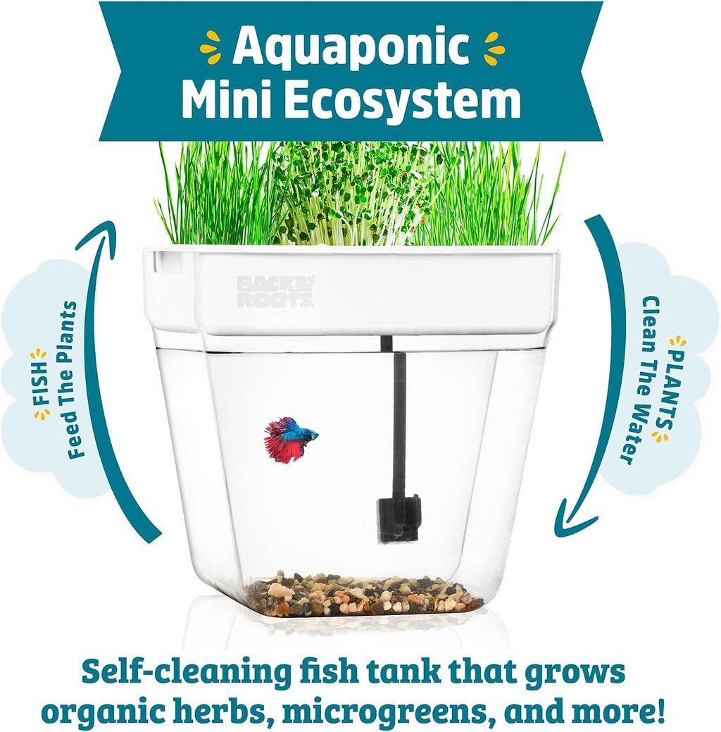 Back to the Roots Indoor Aquaponic Garden - 3 Gallon Self Watering, Mess-Free Planter and Self-Cleaning Fishtank for