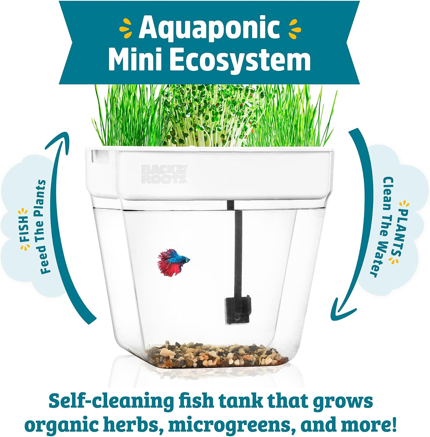 Back to the Roots Indoor Aquaponic Garden - 3 Gallon Self Watering, Mess-Free Planter and Self-Cleaning Fishtank for