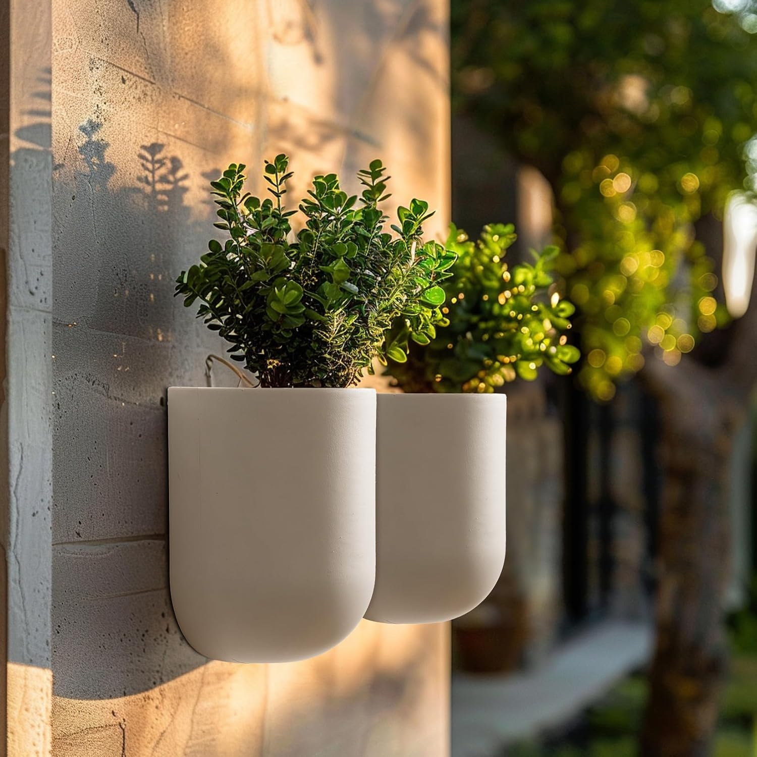 LA Jolie Muse Wall Planters for Indoor Plants, Hanging Flower Pots, 2 Pack | Wall Hanging Planters, Decorative Wall