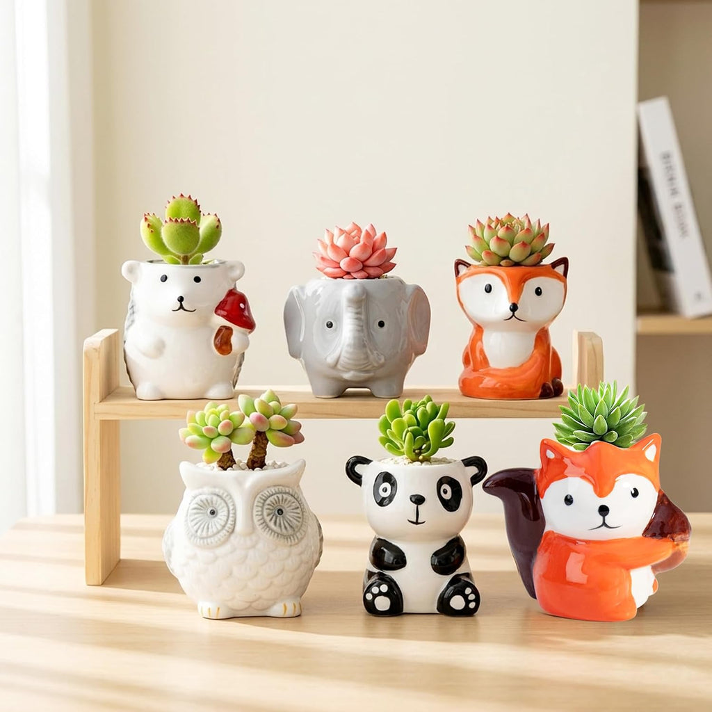 6 Pack Cute Cartoon Succulent Planters with Drainage - Small Animal Cactus Pots - Tiny Ceramic Flower Pots for Air