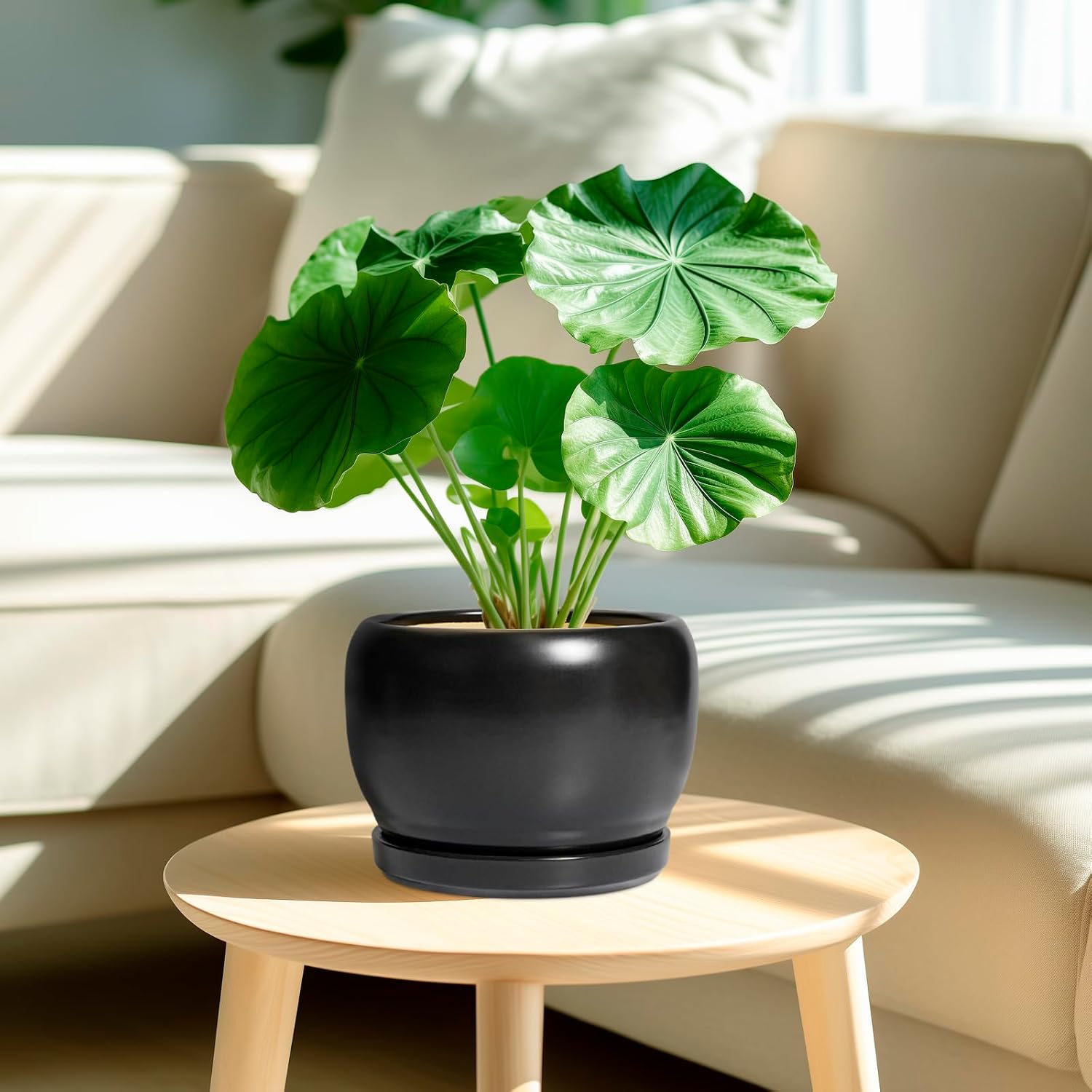 SQOWL Ceramic Plant Pots - 8 Inch Planter Indoor, Round Flower Pot with Drainage Hole and Saucer, Modern Outdoor