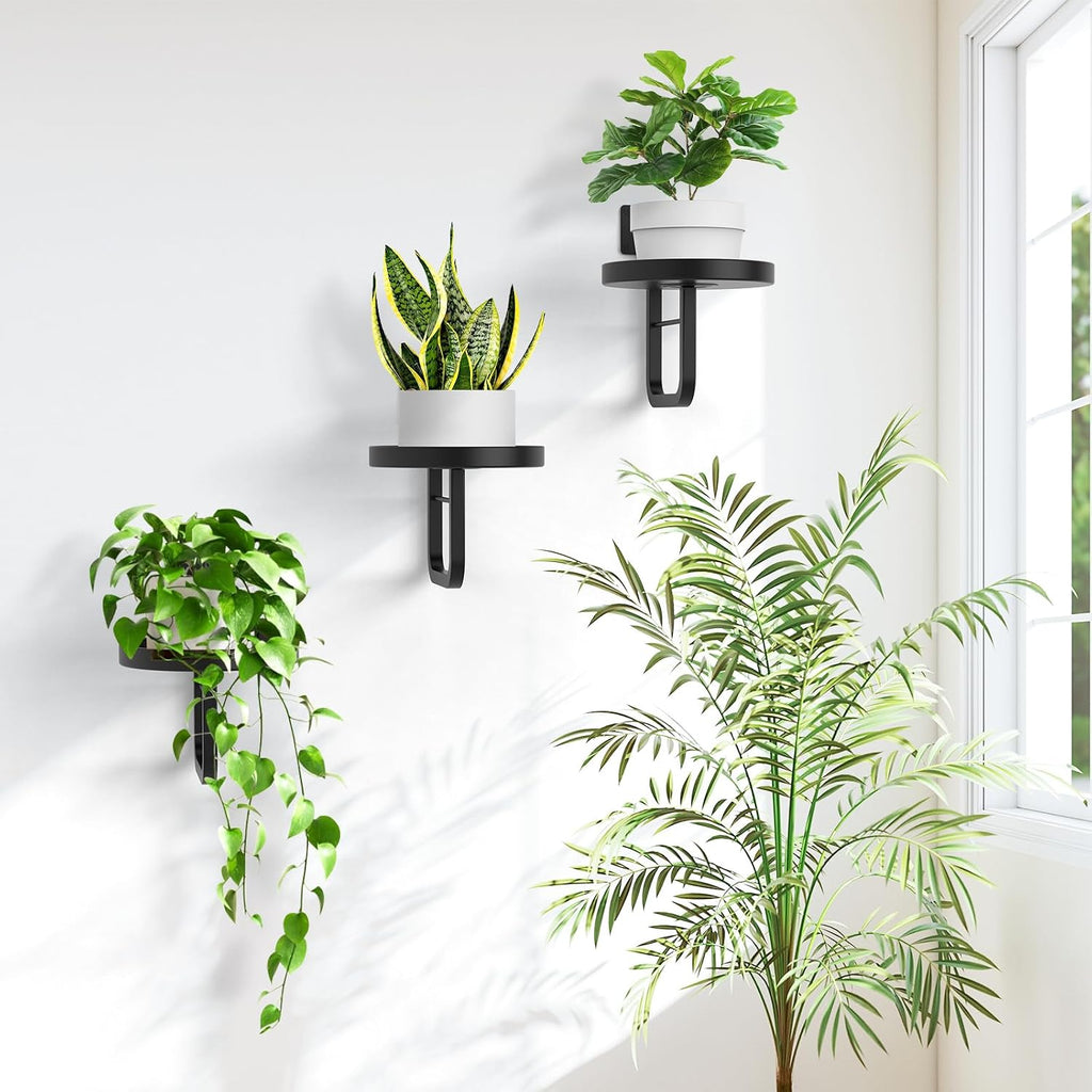 Wall Plant Holder, 7.9 Inch Large Hanging Plant Holder Wall Planters for Indoor Plants, Wall Mounted Plant Holder