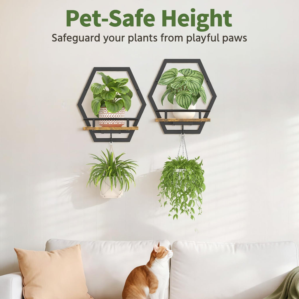 LASZOLA Plant Picture Frame Holder Shelf Wall Window Indoor, 2 Pcs Brown | Modern Floating Flower Hanger Wall Mounted