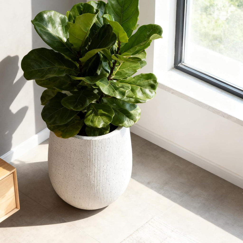 Worth Garden White Large Round Planter, 12.5" Dia x 18.5" H Lightweight Magnesium Oxide Cement Plant Pot with a Striped