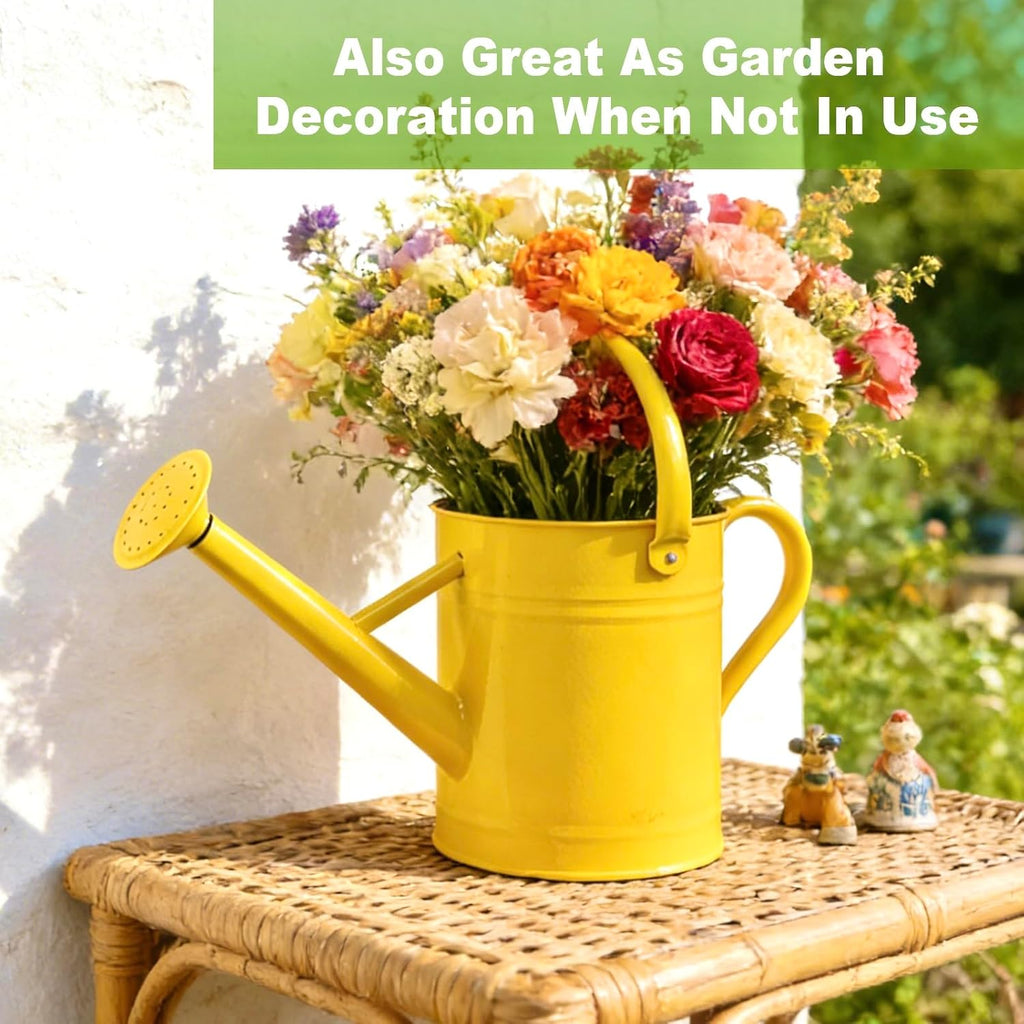 1 Gallon Metal Watering Can for Outdoor&Indoor Plants | Removable Sprinkler Head,Made of Premium Galvanized