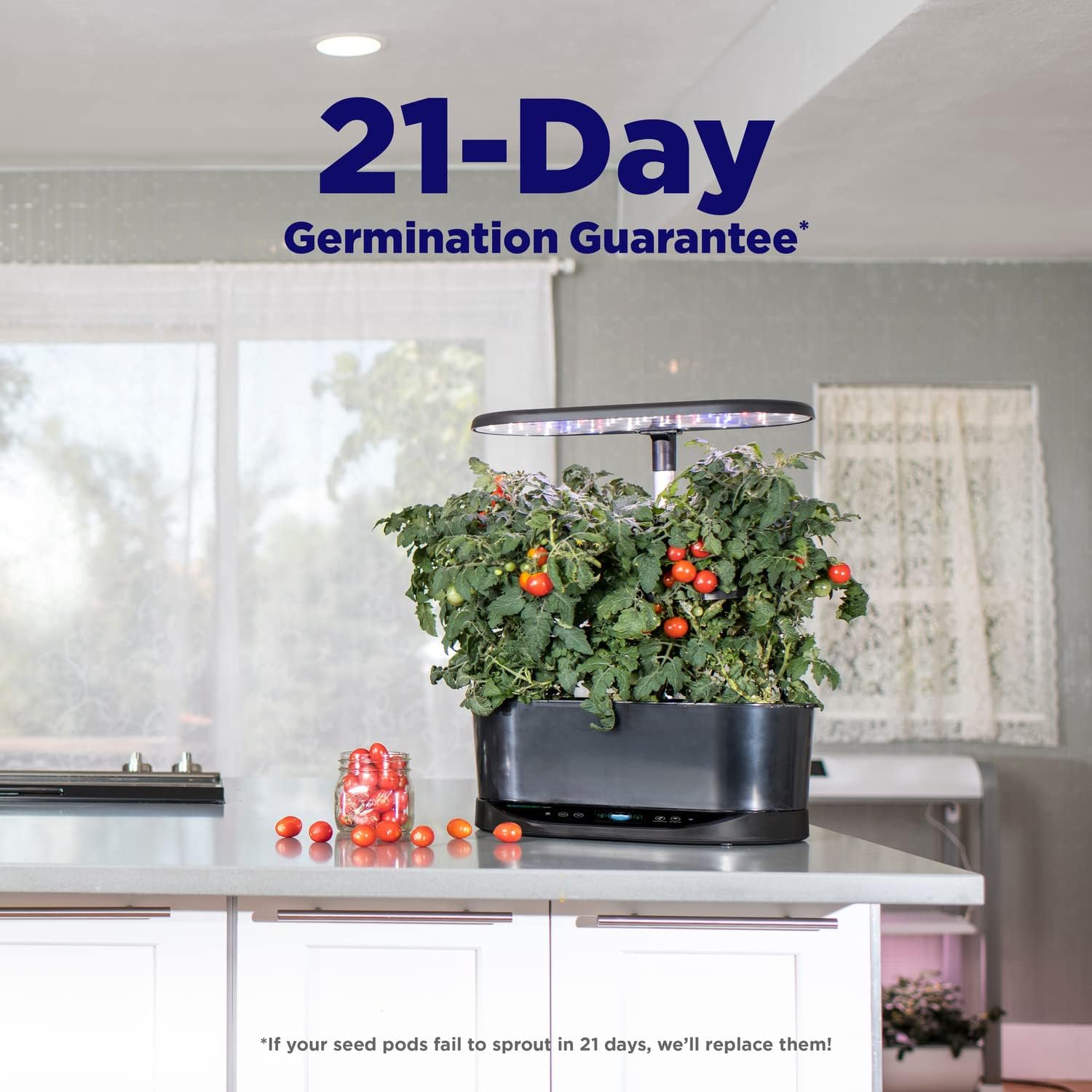 AeroGarden Bounty, Black | Indoor Garden with LED Grow Light, WiFi and Alexa Compatible