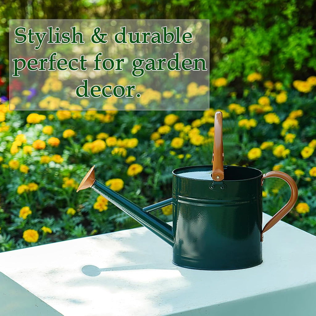 Metal Watering Can for Plants,Watering Cans for Outdoor&Indoor Gardening, Galvanized Steel Water Can with Removable