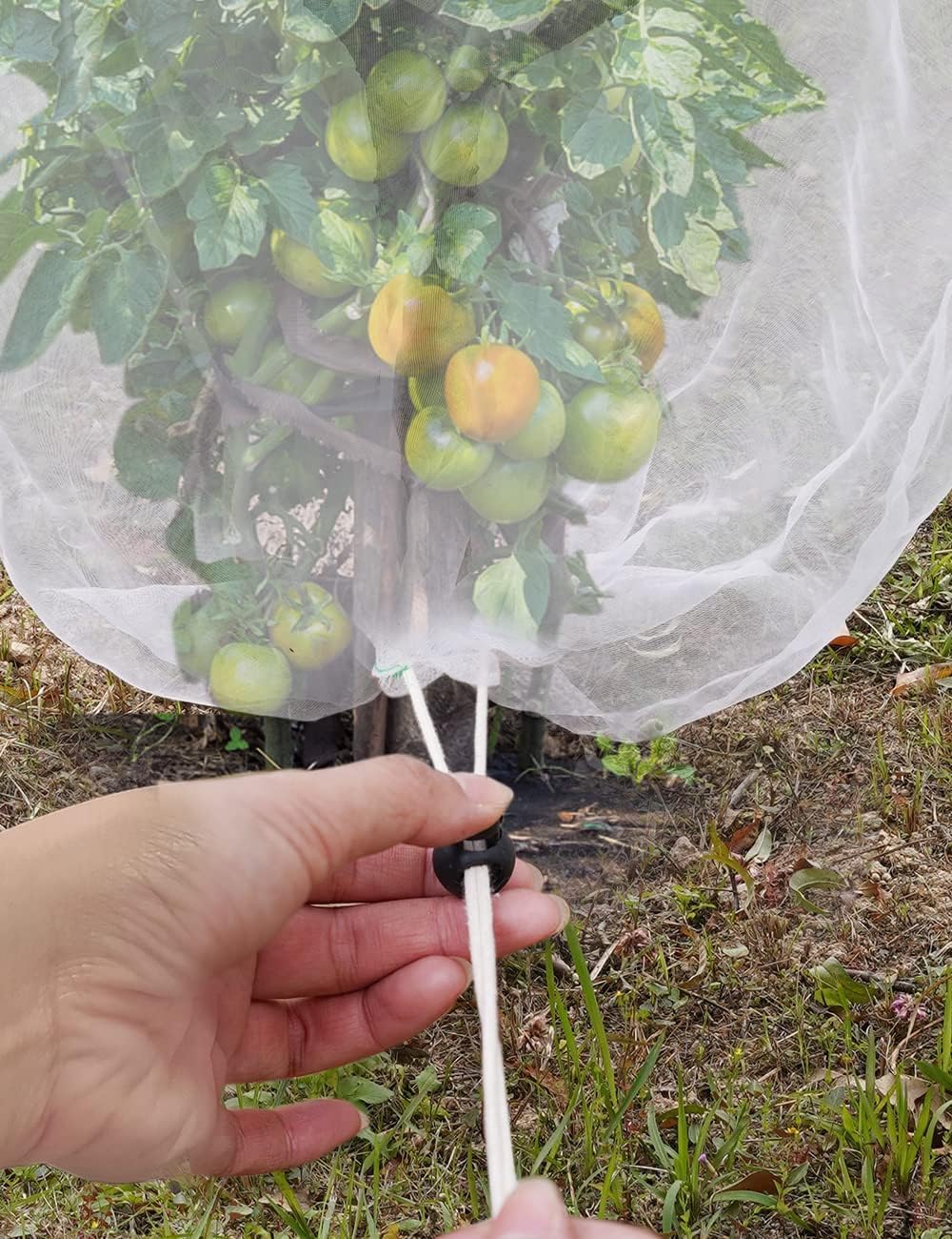 2 Pcs 6x6ft Fruit Tree Covers with Zipper and Drawstring,Nets to Protect Garden Blueberry Bushes from Birds and