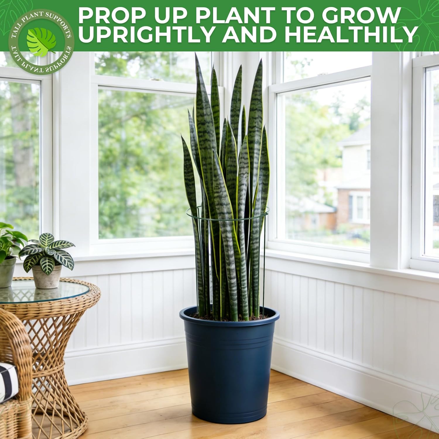 LEOBRO Plant Support Plant Stakes, 12pcs Peony Cages and Supports, Metal Garden Stakes Plant Supports, Plant Support