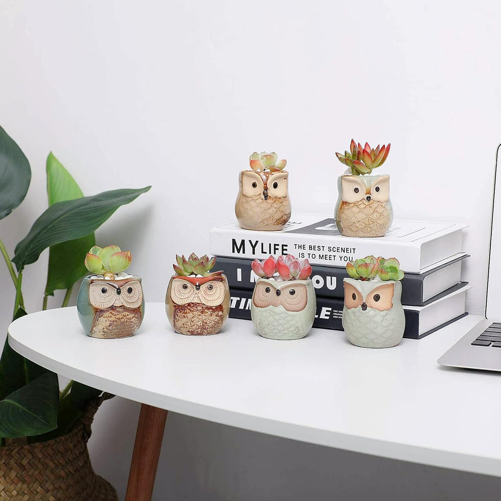 T4U Owl Succulent Pots, Mini Ceramic Gift Planter Set with Drainage 12 Pack | Cute owl design containers, for live