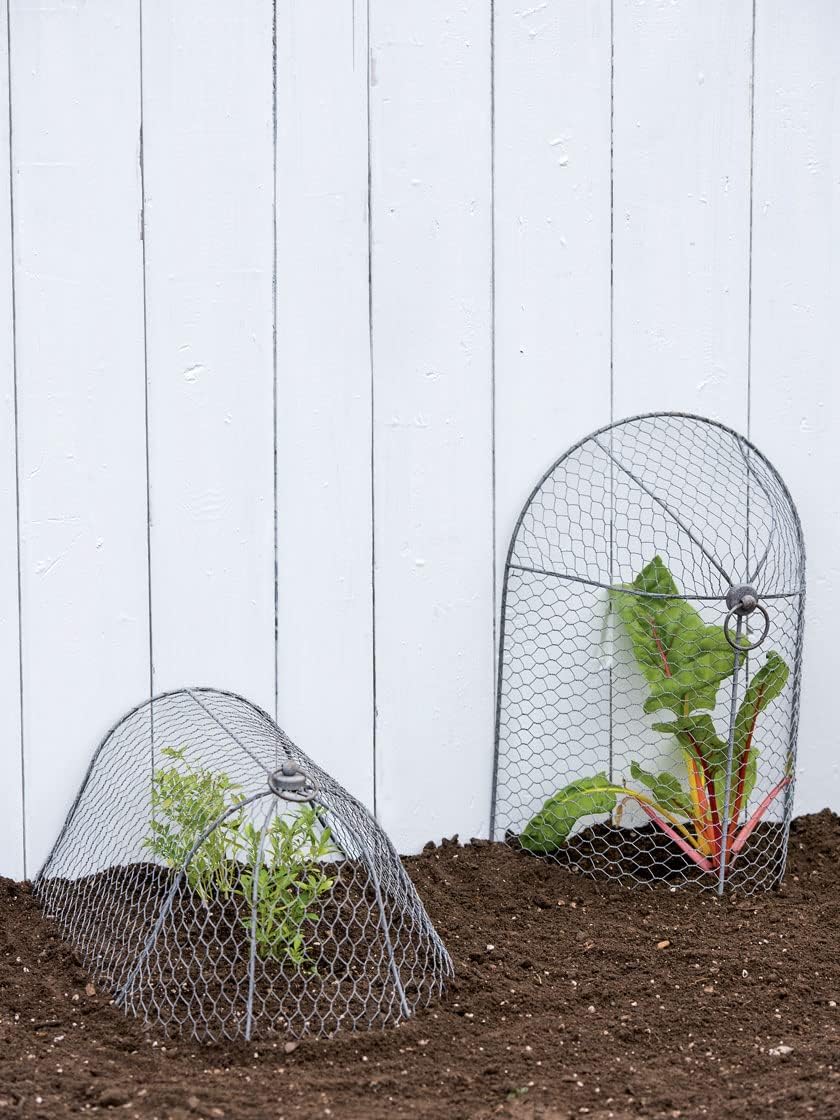 Gardener’s Supply Company Chicken Wire Cloche Garden Row Plant Protector | Sturdy Metal Protection for Seedlings and