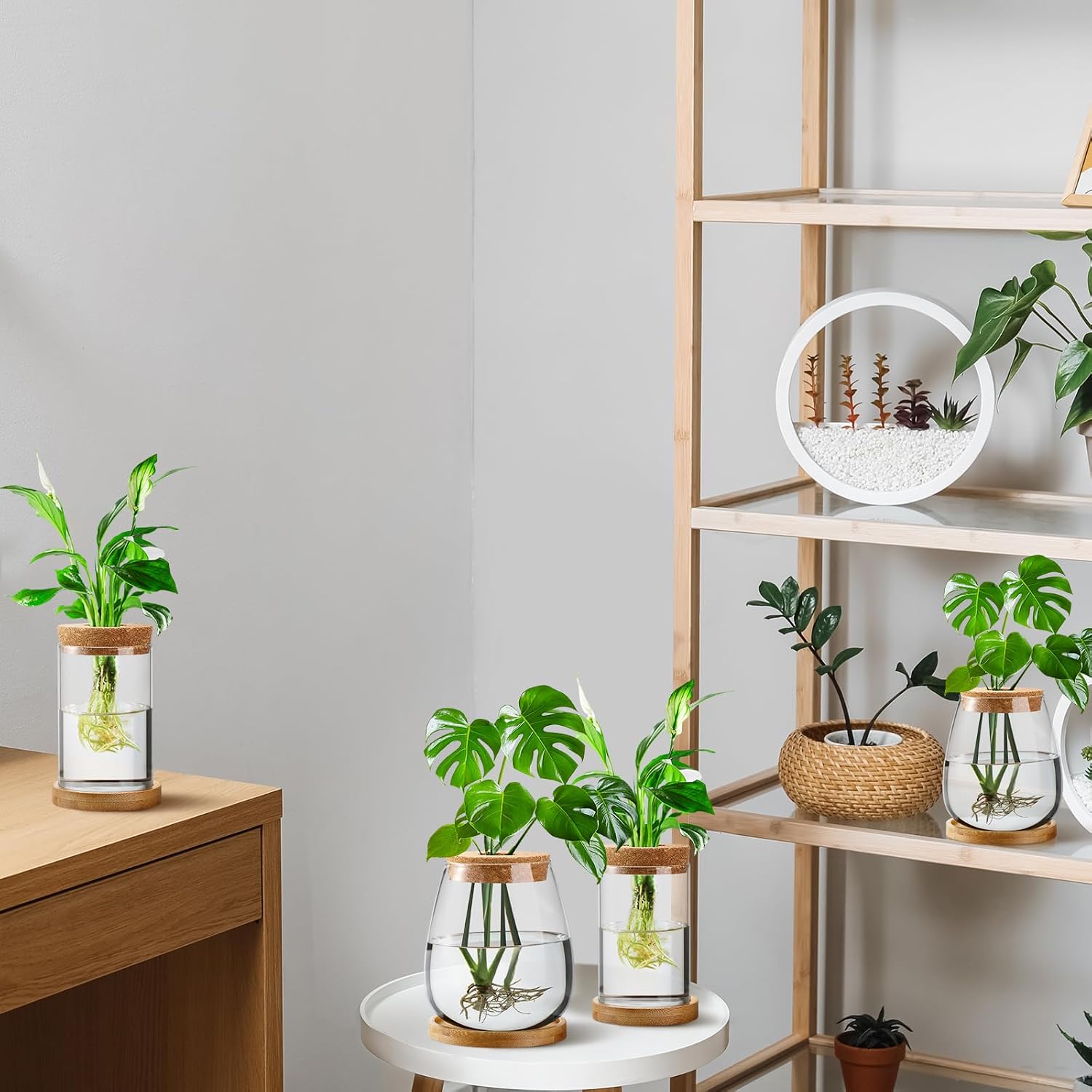 Layhit 4 Pcs Plants Propagation Stations vases Glass Planters with Wooden Lid and Bamboo Stand for Hydroponic Plants