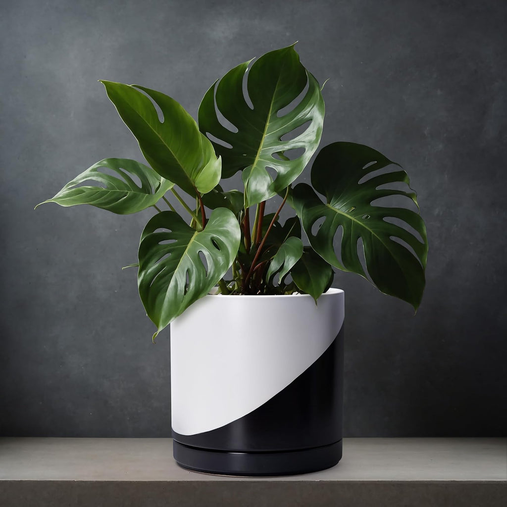 D'vine Dev 12 Inch Ceramic Planter Pot, Black White Diagonal, 94-O-F-K | Modern Cylinder Design, Drainage Hole & Saucer
