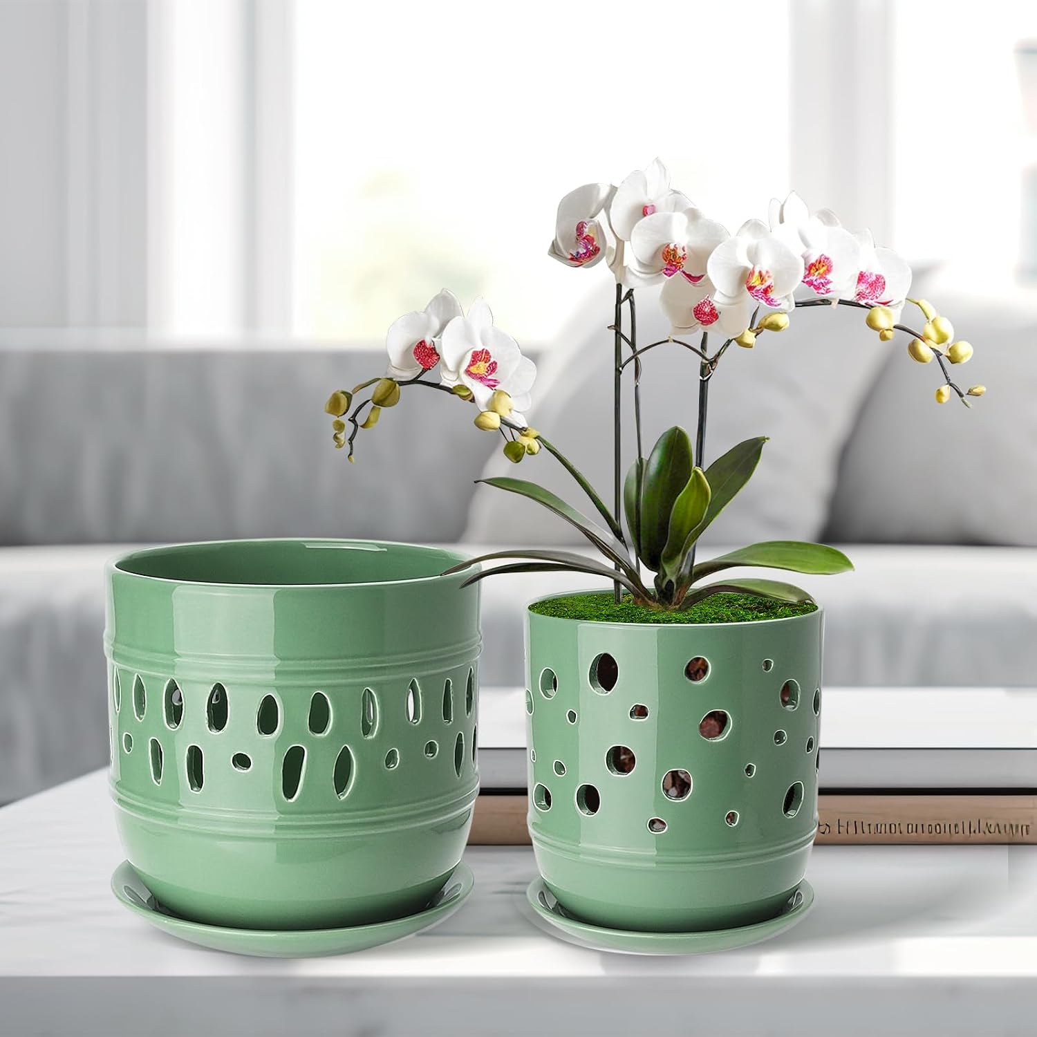 Orchid Pots with Holes, 5+6 Inch Large Orchid Pot with Drainage and Saucers, Ceramic Orchid Planter for Indoor/Outdoor