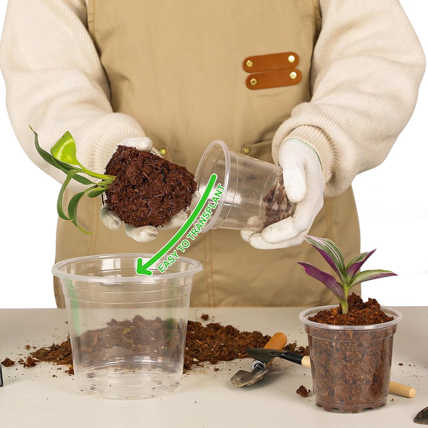 JNYONG 60 Pack 3.5/4/5/6/7 Inch Clear Nursery Pots with Drainage Hole | Variety Sizes Seed Starting Pots Transparent