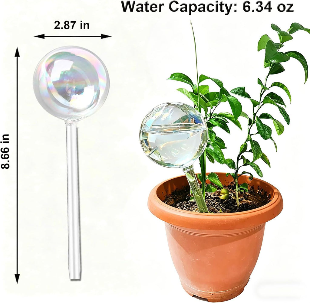 Self Watering Globes for Plants, Large 6pcs Glass Garden Self Watering Bulb | Up to 5 Days of Irrigation Self Watering