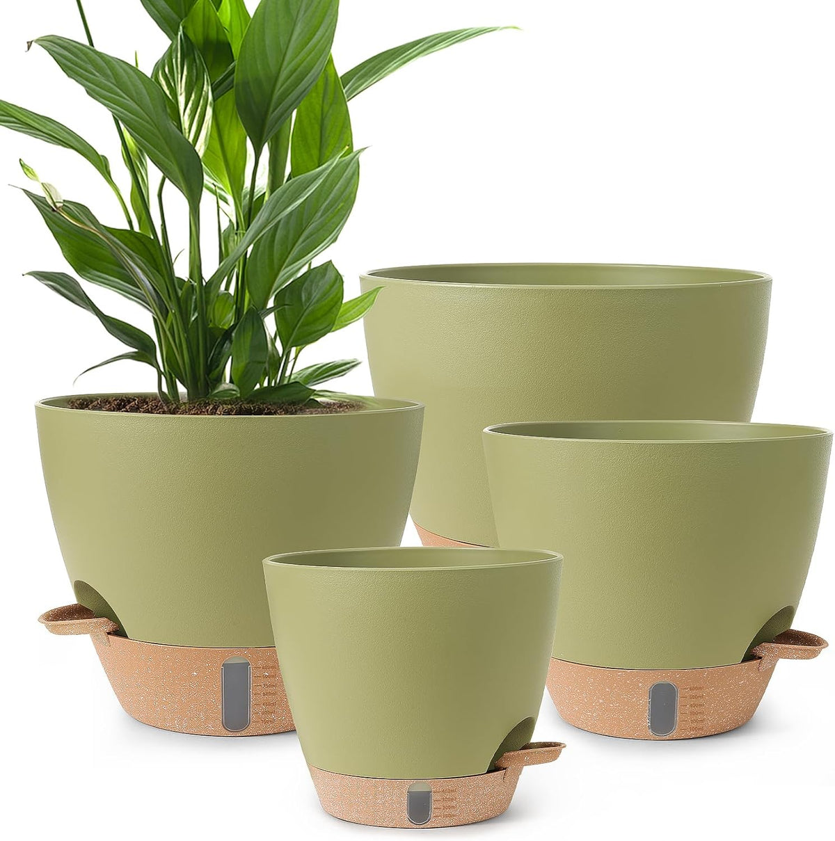 D'vine Dev 6-Pack Acrylic Herb Planter Pots, 4 in, Clear, 76-Y-D-1