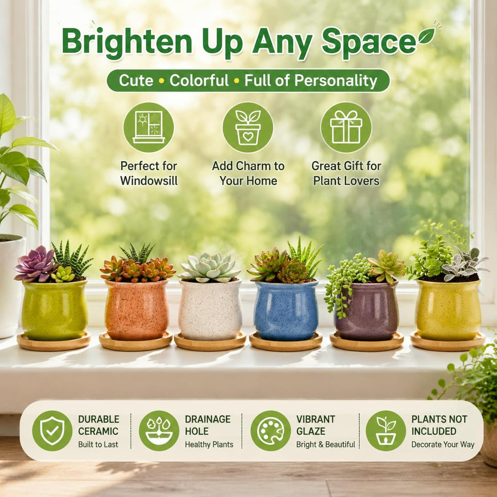 6-Pack 3 Inch Ceramic Succulent Pots with Bamboo Tray for Home Decor | Includes decorative stickers and cards creating