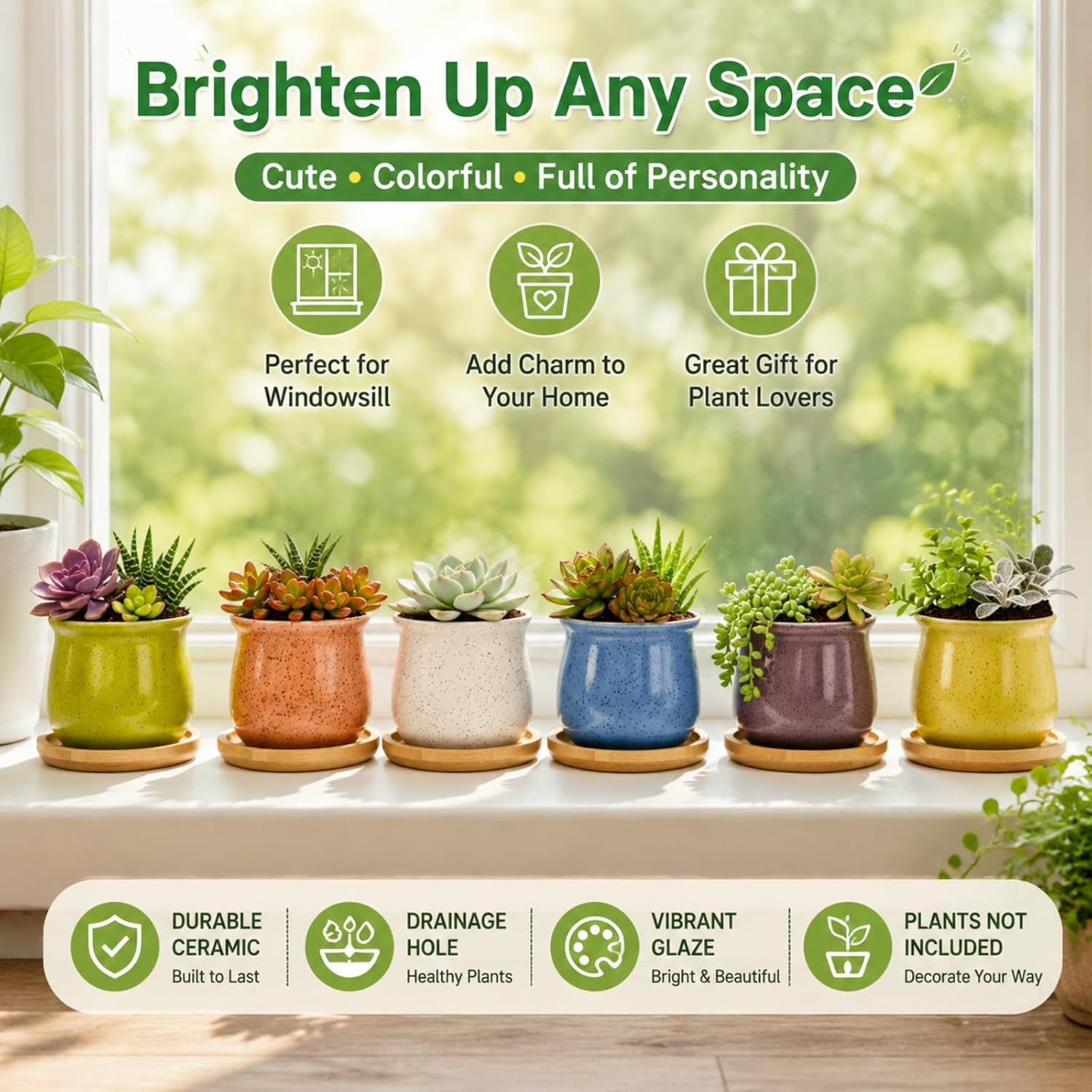 6-Pack 3 Inch Ceramic Succulent Pots with Bamboo Tray for Home Decor | Includes decorative stickers and cards creating
