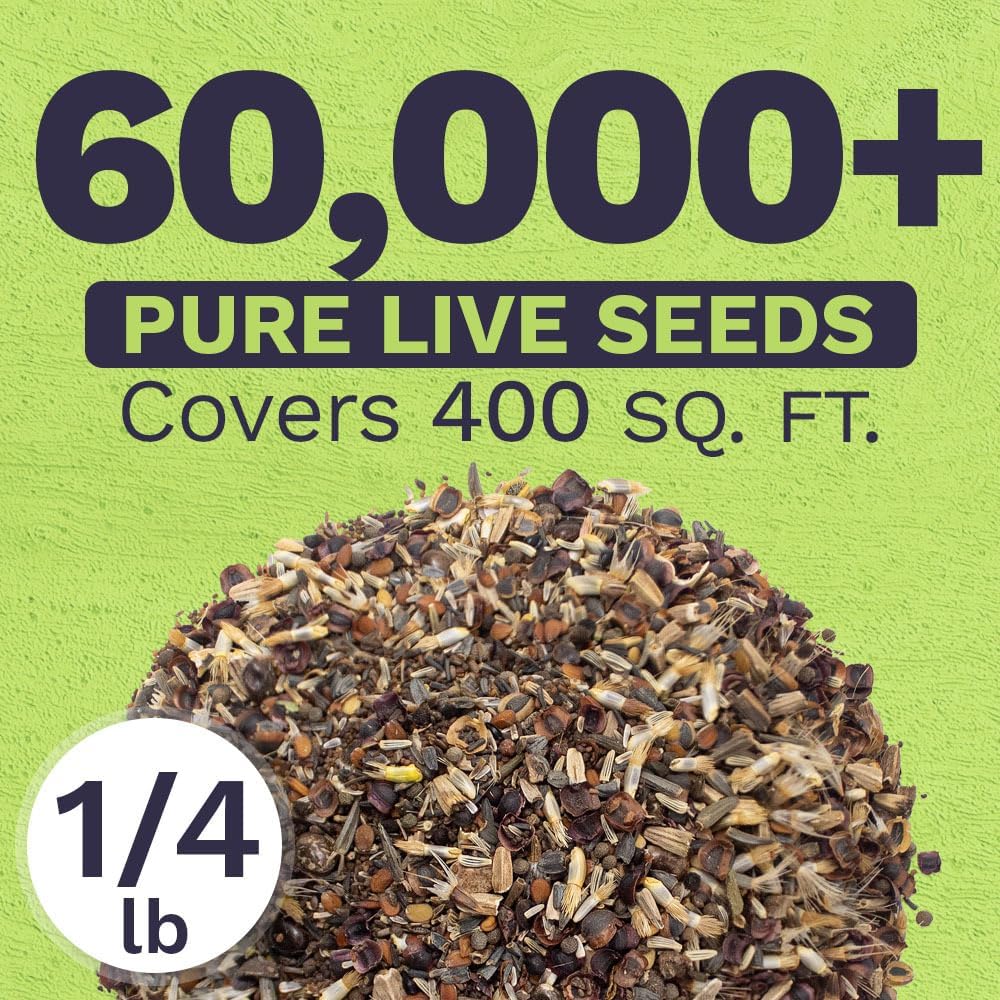 Deer Resistant Wildflower Seed Mixture - Bulk 1/4 Pound Bag - Over 60,000 Deer Tolerant Seeds - Open Pollinated and Non