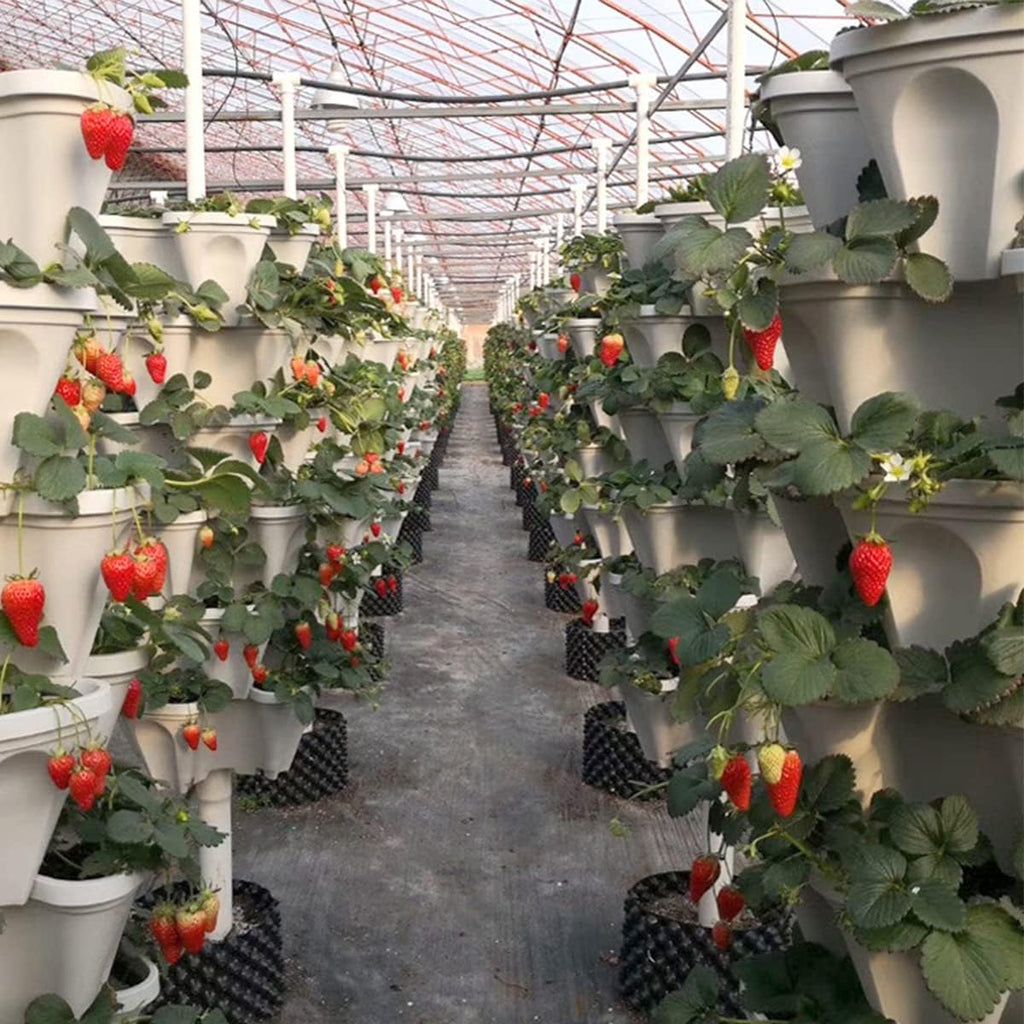 Strawberry Vertical Planters, 3 Tiered Stacking Tower Garden, Stackable Herb Vegetable Planters with Movable Casters