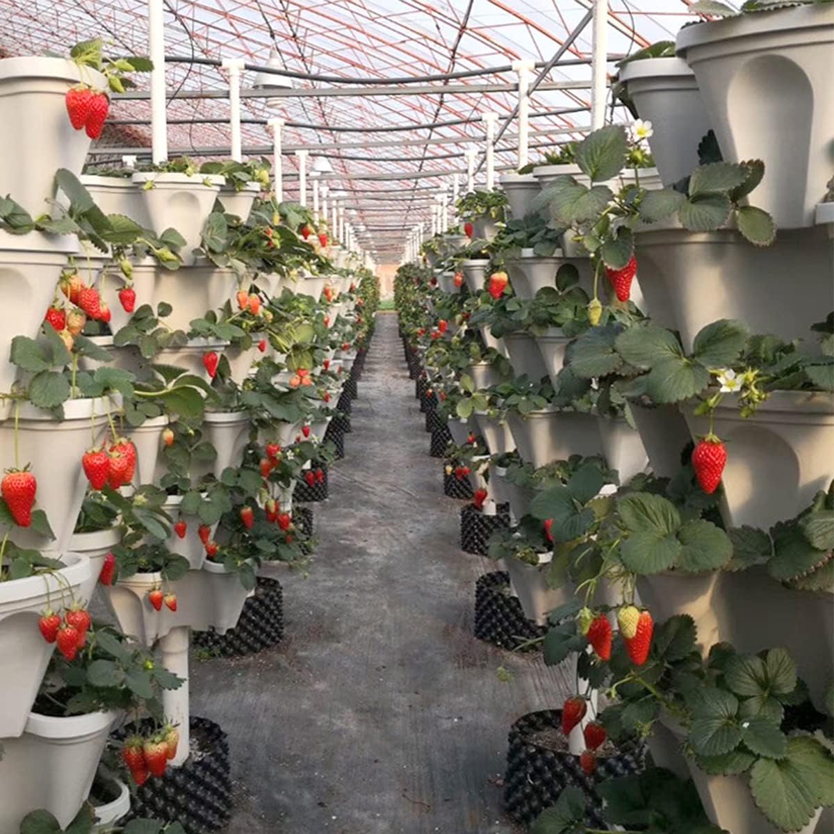 Strawberry Vertical Planters, 3 Tiered Stacking Tower Garden, Stackable Herb Vegetable Planters with Movable Casters