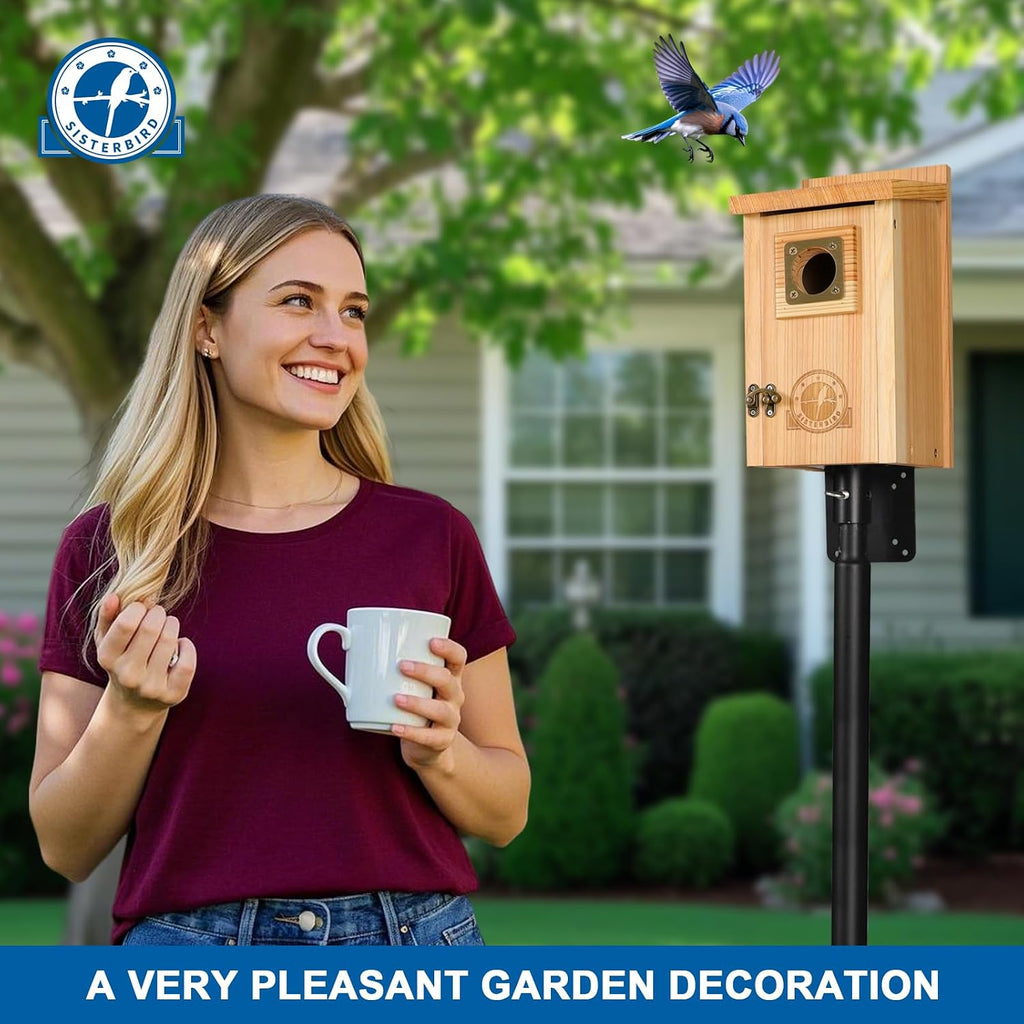 SISTERBIRD Bird Houses for Outside Clearance with Copper Guard, Cedar Bird House Outdoor, Bluebird Finch Swallow Wren