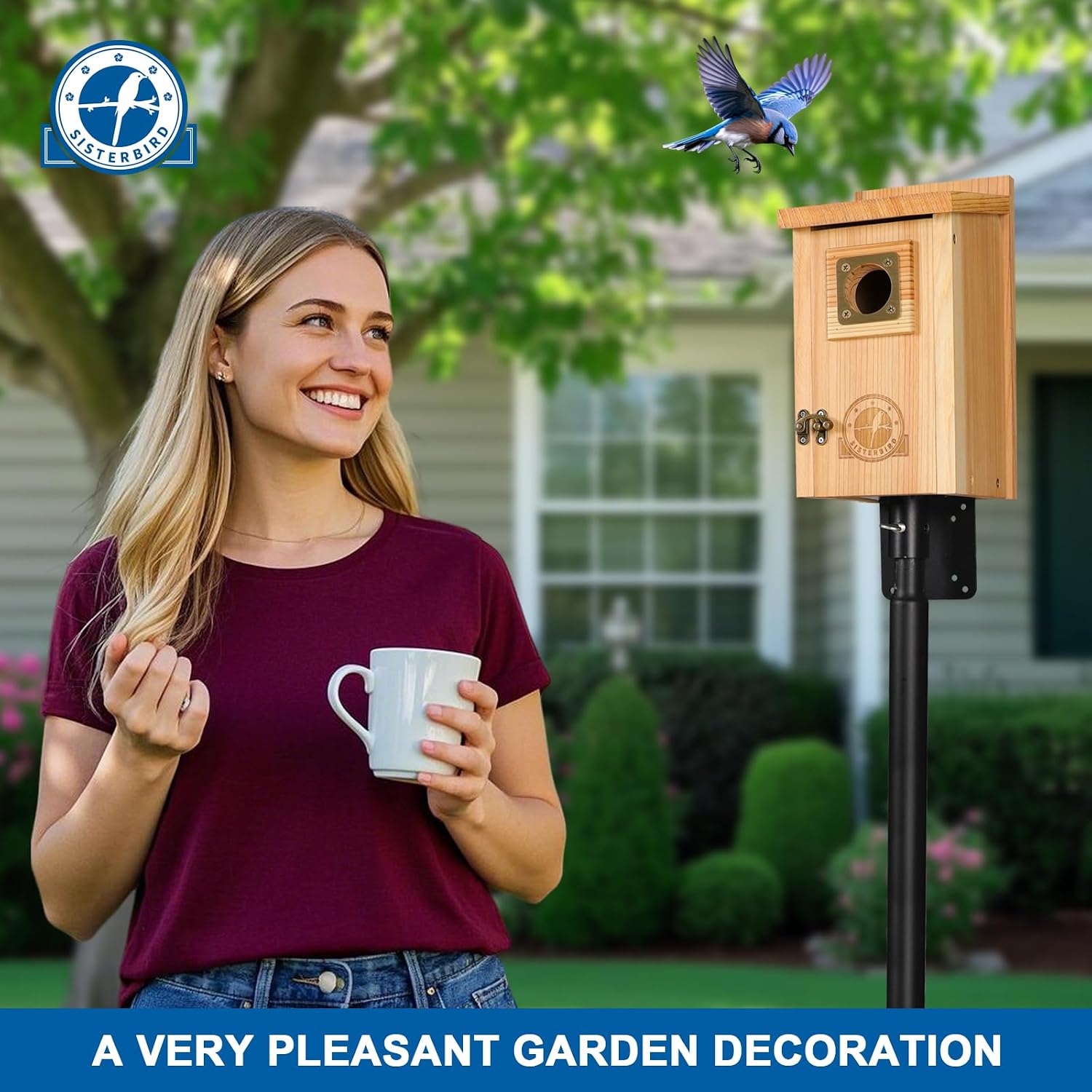 SISTERBIRD Bird Houses for Outside Clearance with Copper Guard, Cedar Bird House Outdoor, Bluebird Finch Swallow Wren