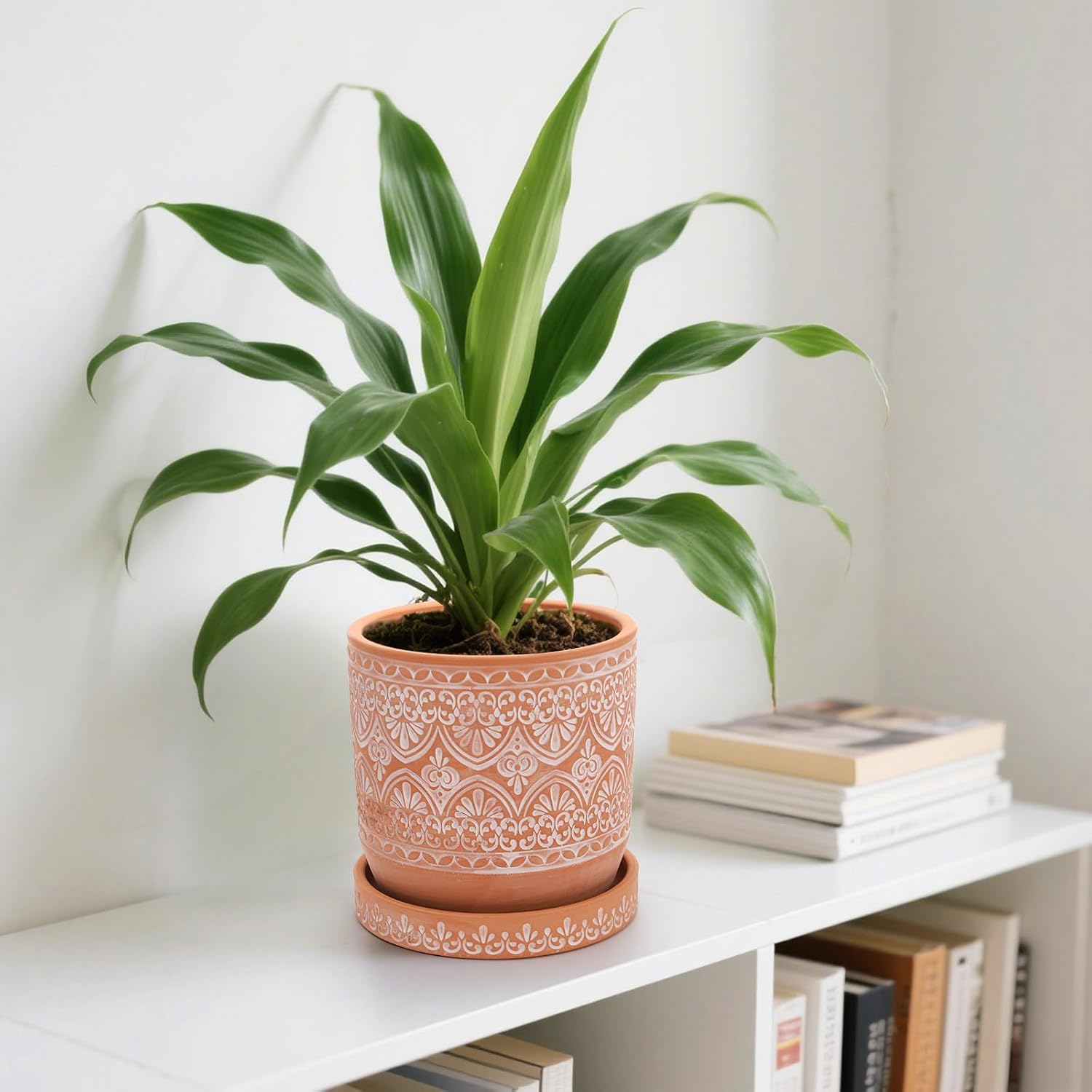 Set of 2 Terracotta Plant Pots 4 Inch 6 Inch, Small Medium Clay Planter Pot, Ceramic Cactus Flower Succulent Pot with