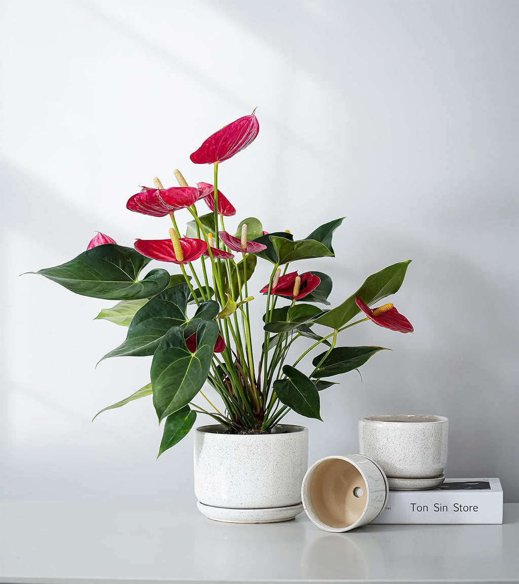 Ceramic Planters,Plant Pots with Saucers Set of 3(Reactive Glaze White) | Colorful Ceramic Planters for Indoor Plants