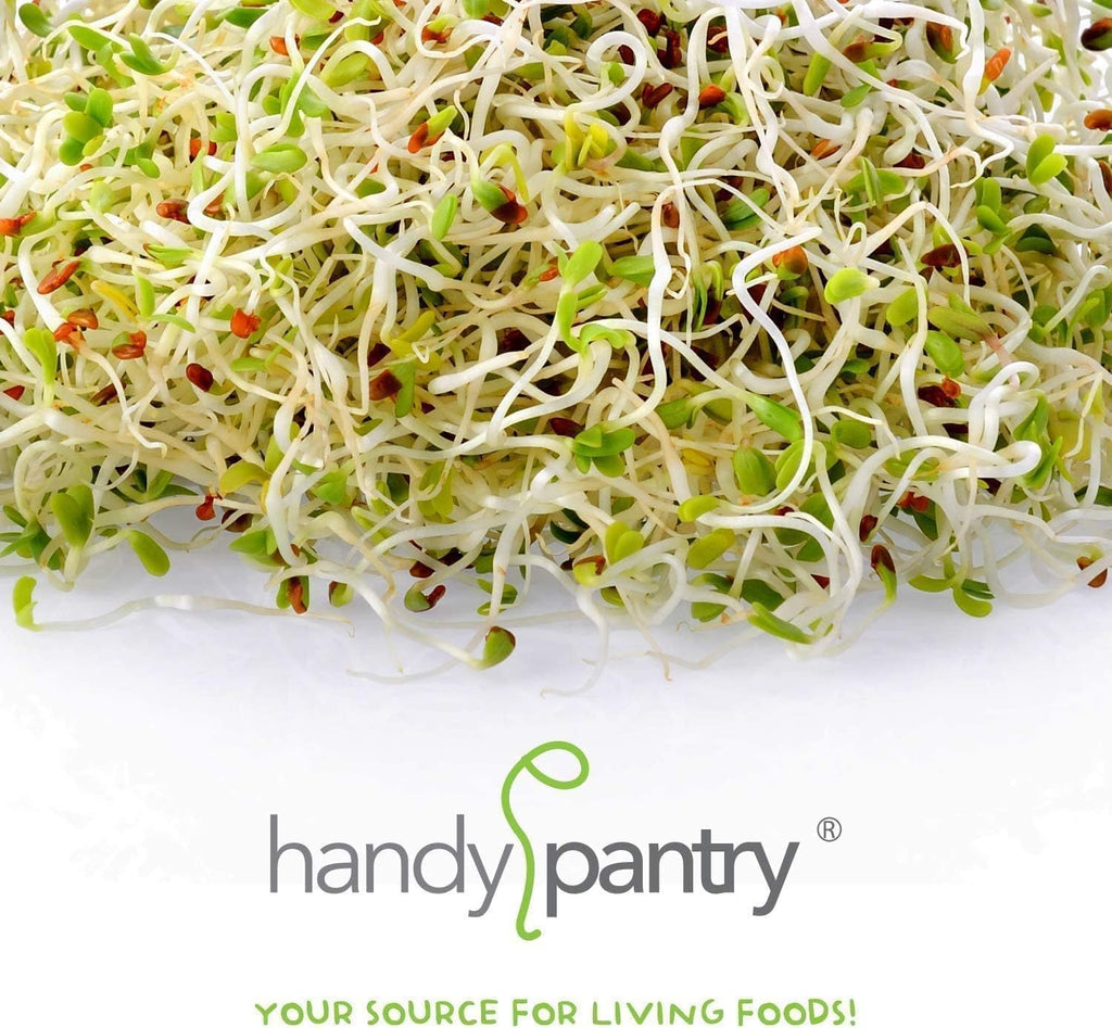 Handy Pantry Organic Birdseed - 5 Lb - Sprouting Bird Seed Mix for Small | Medium & Large Birds- Feed for Songbirds