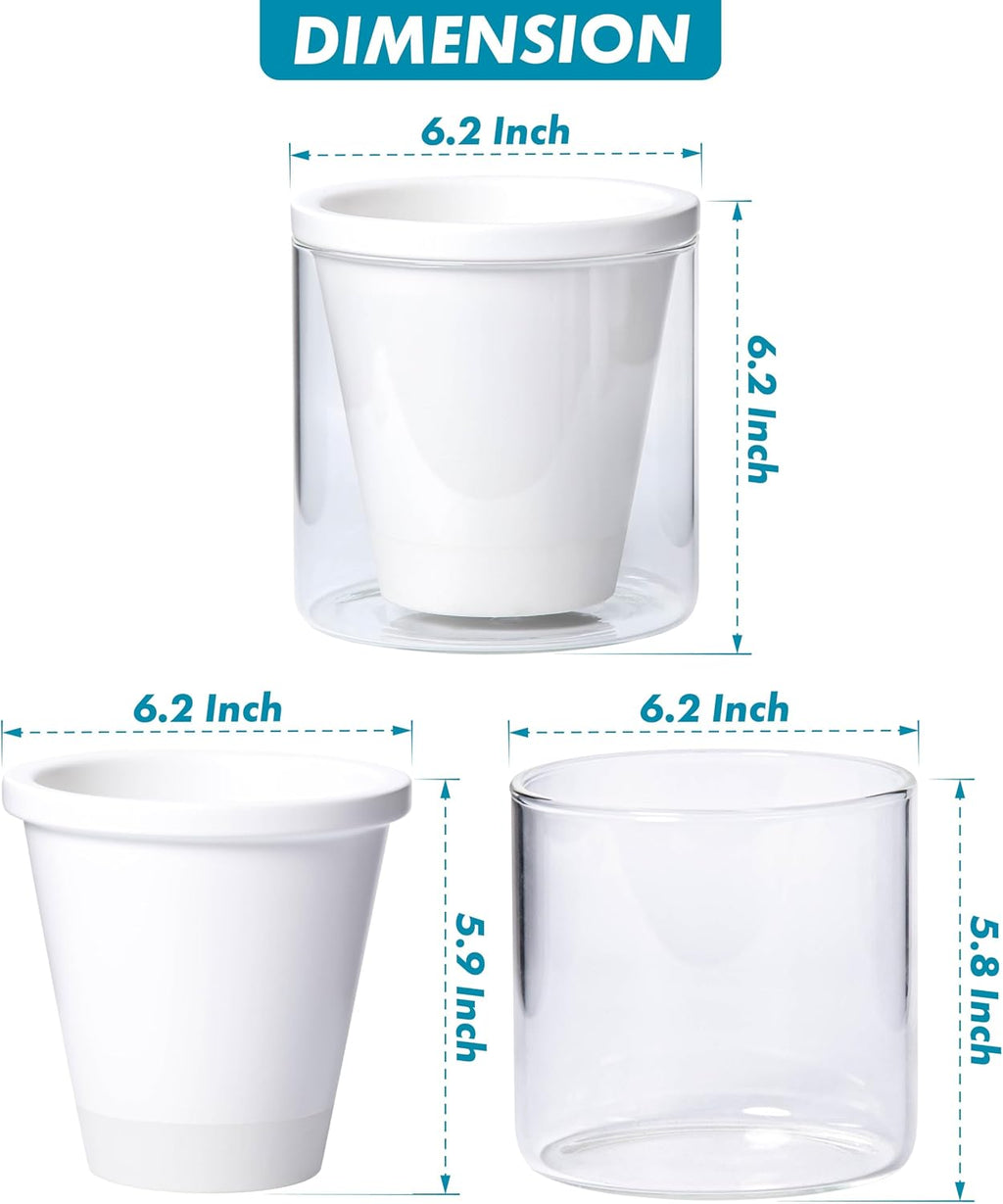 D'vine Dev Self-Watering White Terracotta Planter Pot, 6 in, 37-X-B-2 | Terracotta & Glass Design, Clear Water